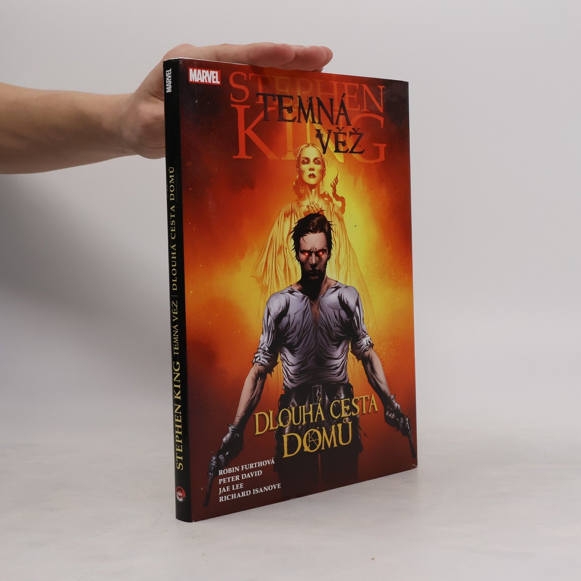 Stephen King Temná věž. Dlouhá cesta domů