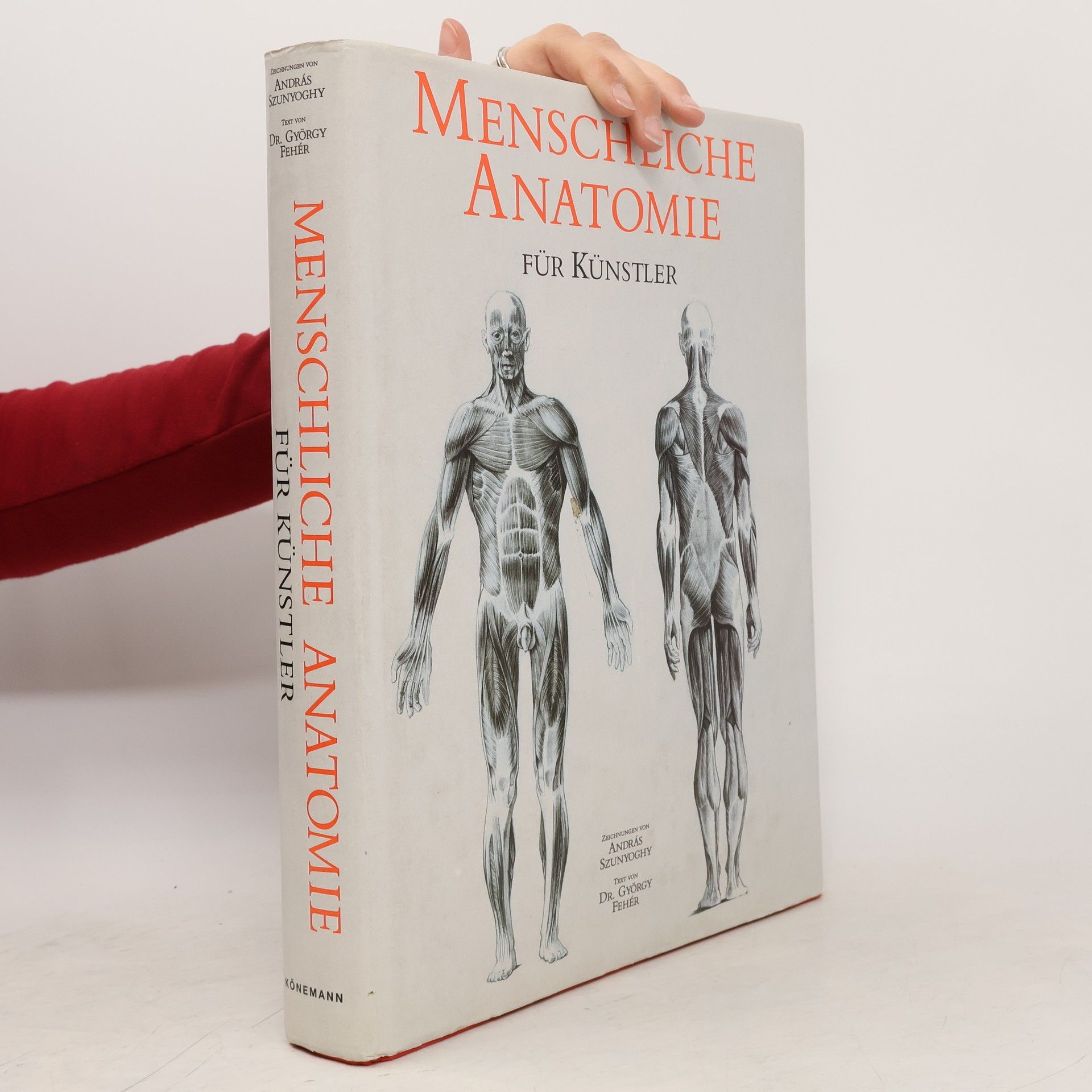 Menschliche Anatomie für Künstler