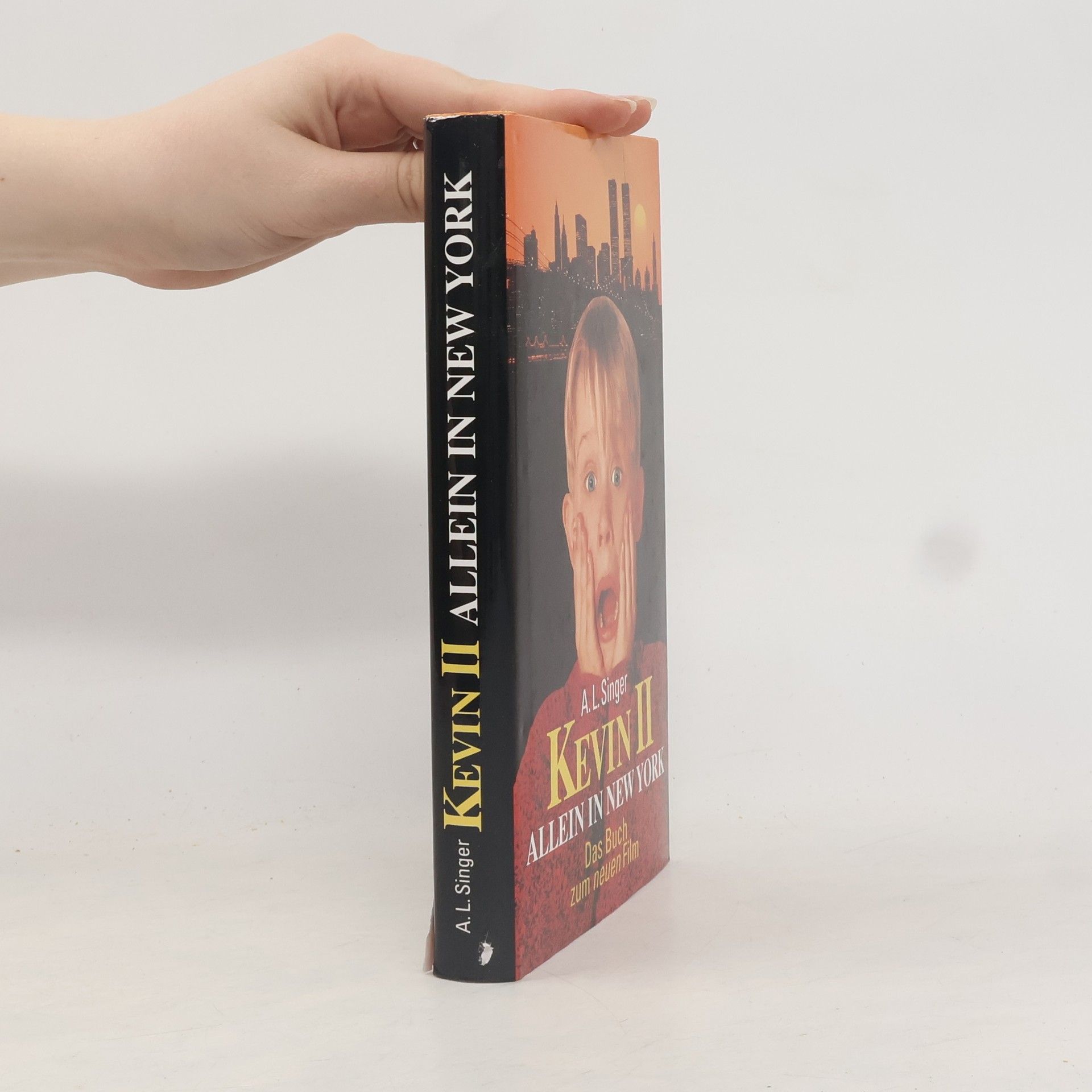 Kevin II. Allein in New York