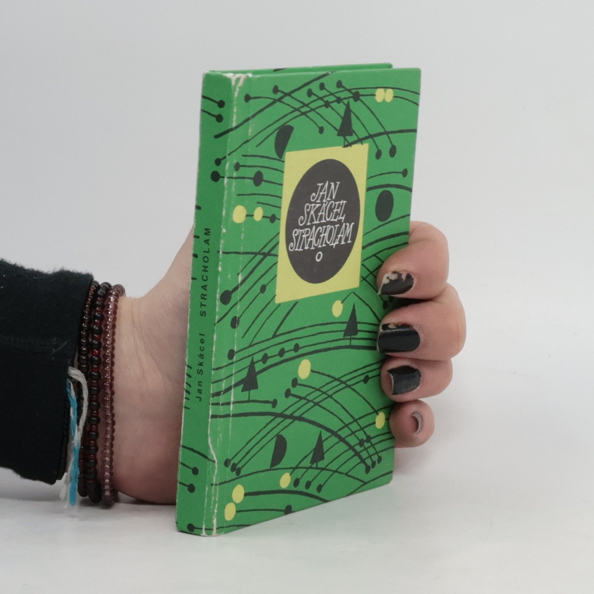 Jan Skácel Stracholam