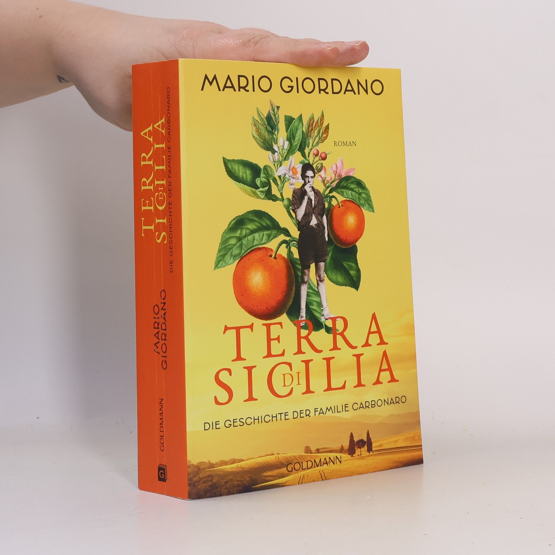 Mario Giordano Terra di Sicilia. Die Geschichte der Familie Carbonaro