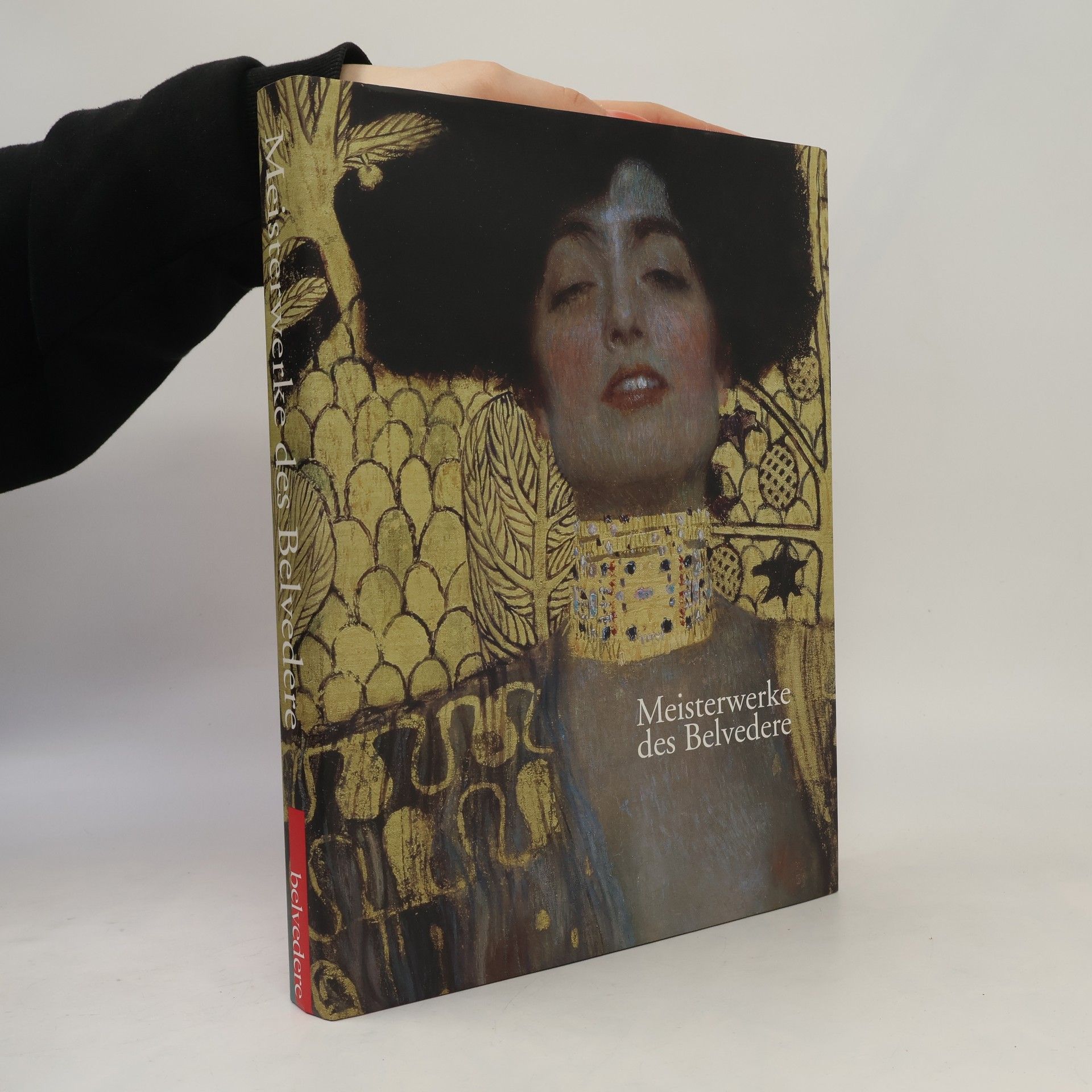 Meisterwerke des Belvedere