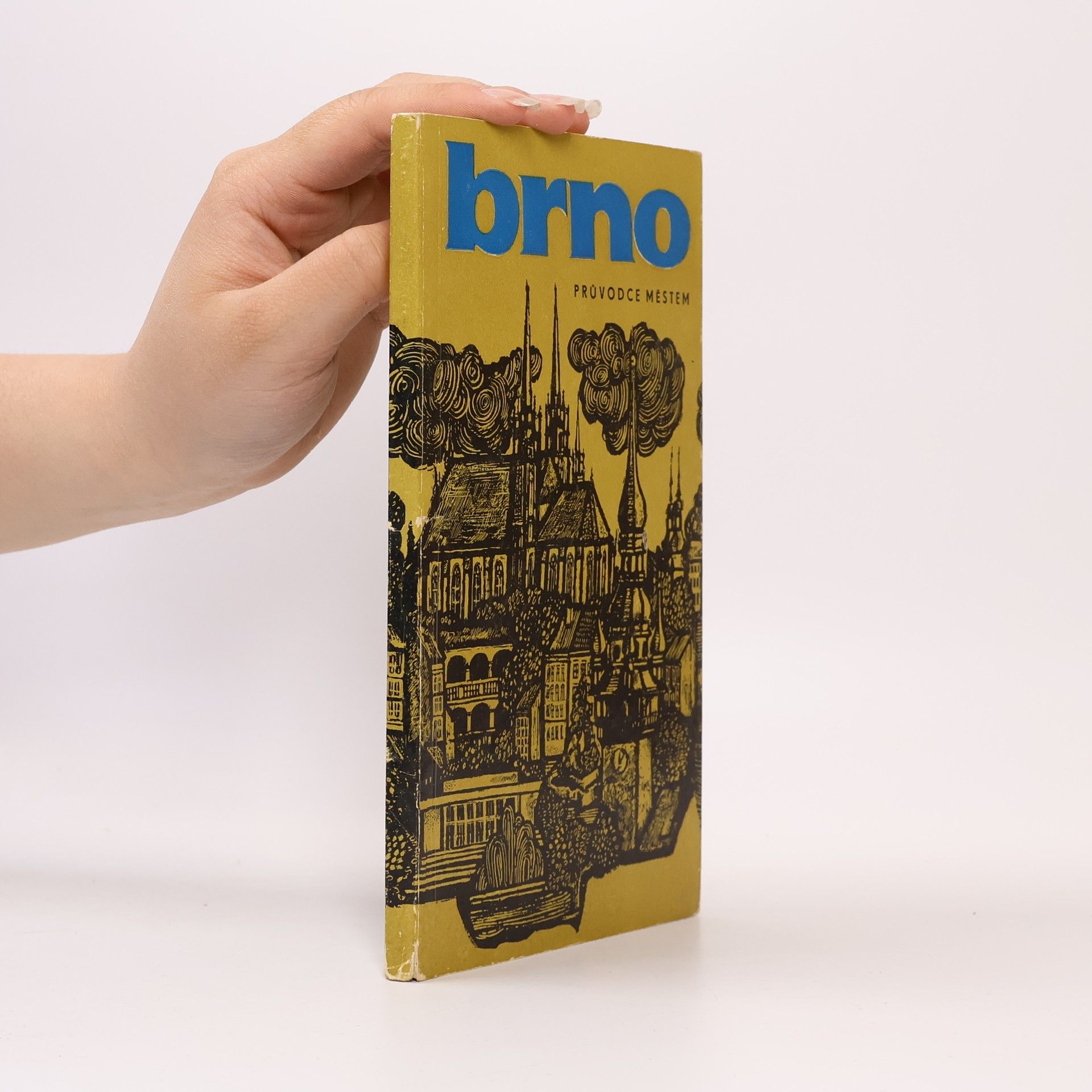 Vladislav David Brno. Průvodce městem