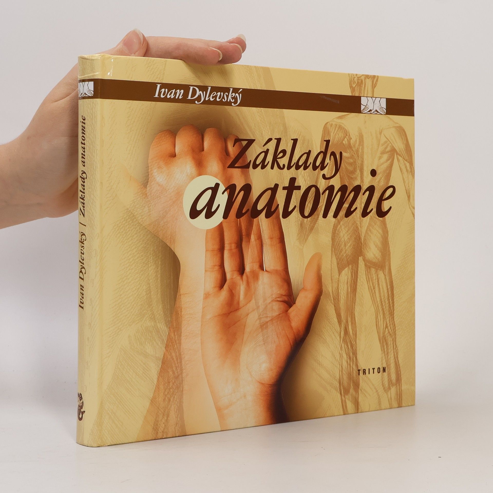 Základy anatomie