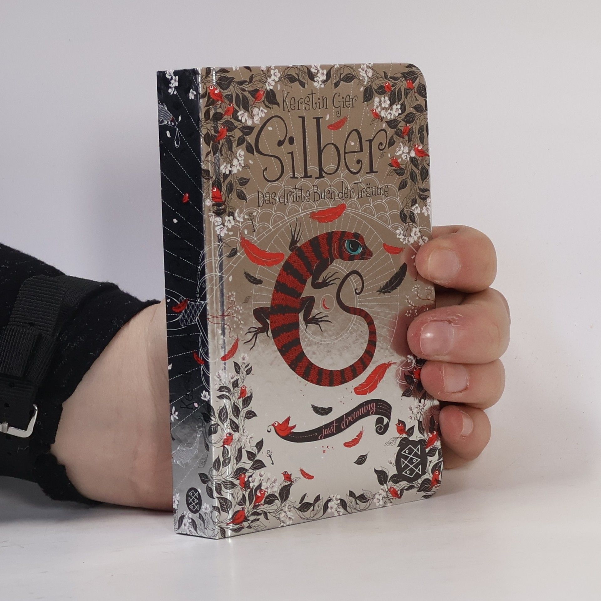 Kerstin Gier Silber: Das dritte Buch der Träume