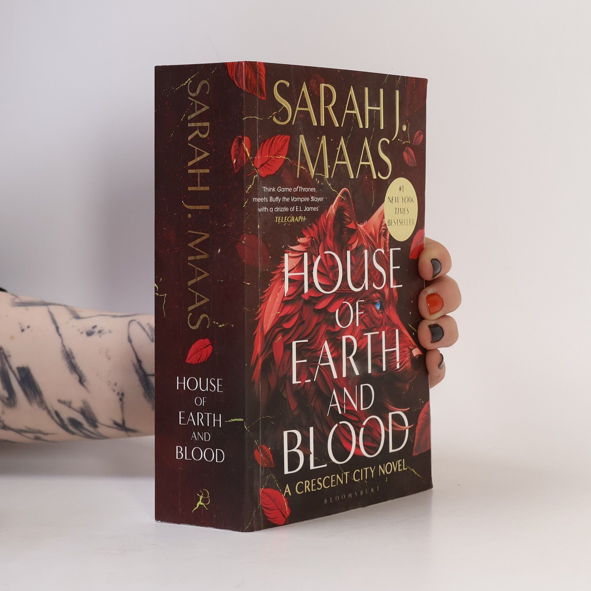 Sarah J. Maas House of Earth and Blood