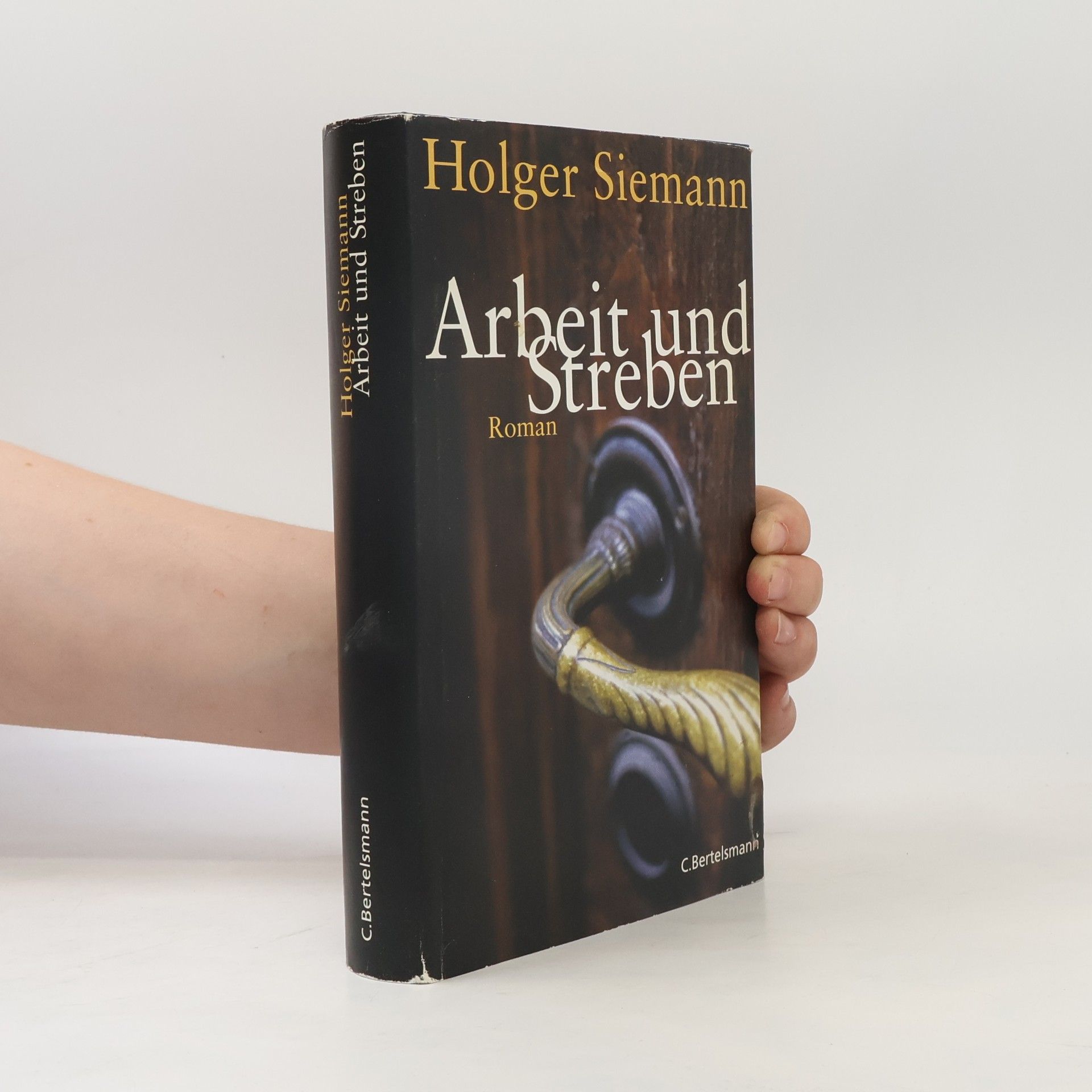 Holger Siemann Arbeit und Streben
