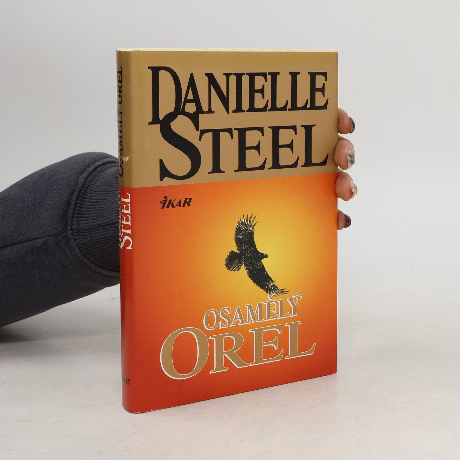 Danielle Steel Osamělý orel
