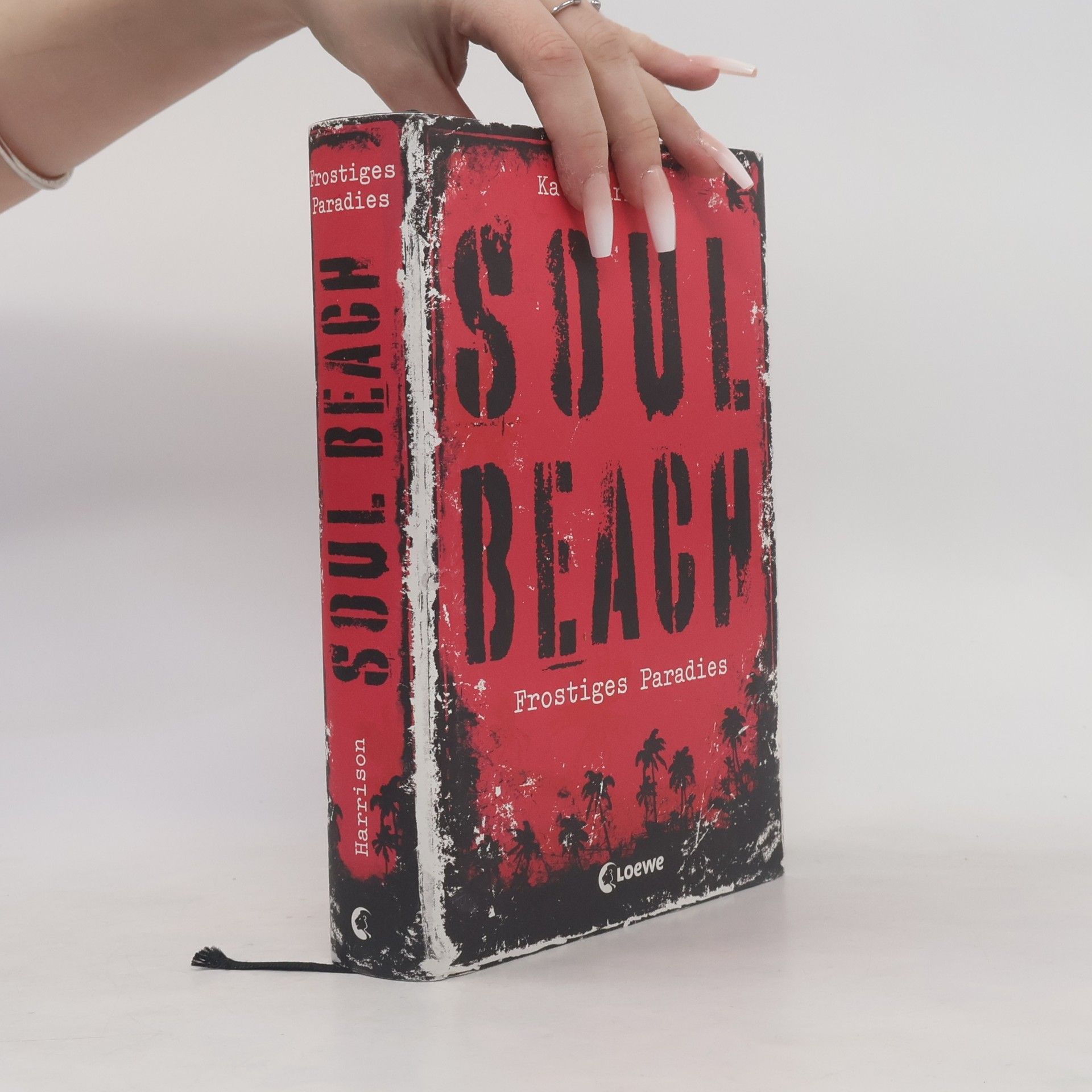 Kate Harrison Soul Beach. Frostiges Paradies