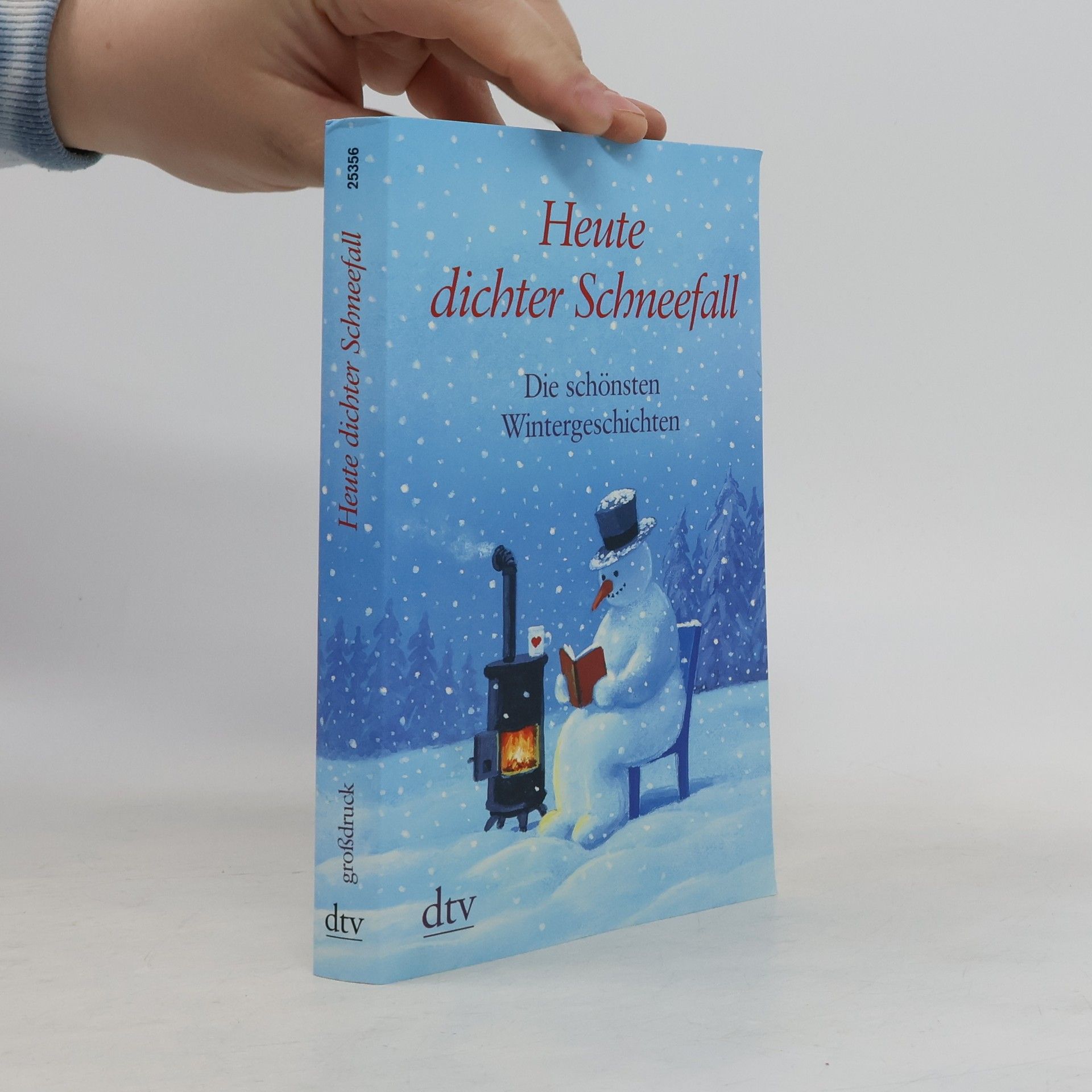 Karoline Adler Heute dichter Schneefall