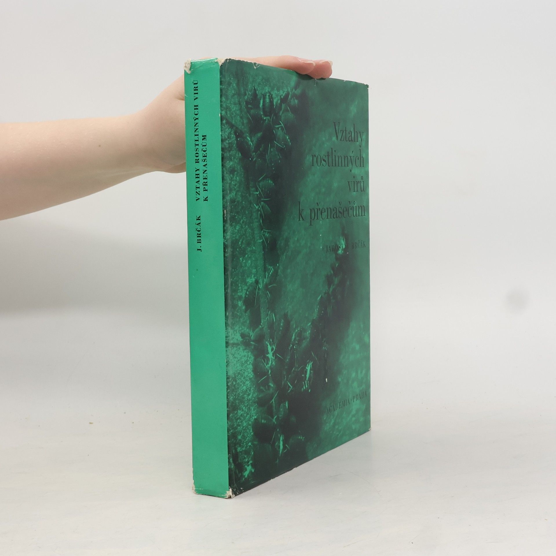 Jaroslav Brčák Vztahy rostlinných virů k přenašečům