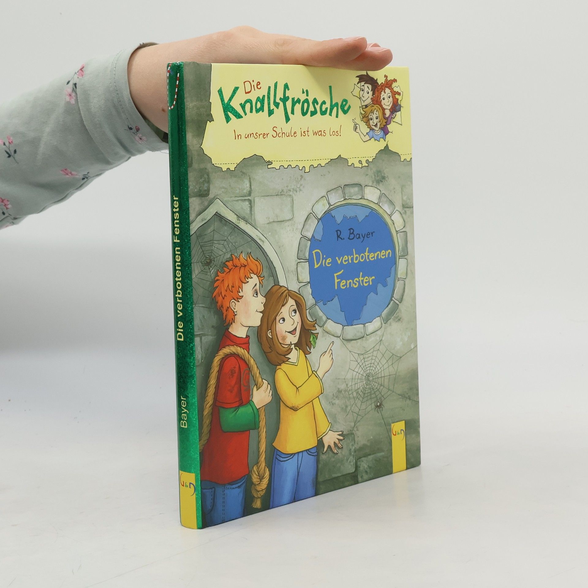 Robert Bayer Die verbotenen Fenster