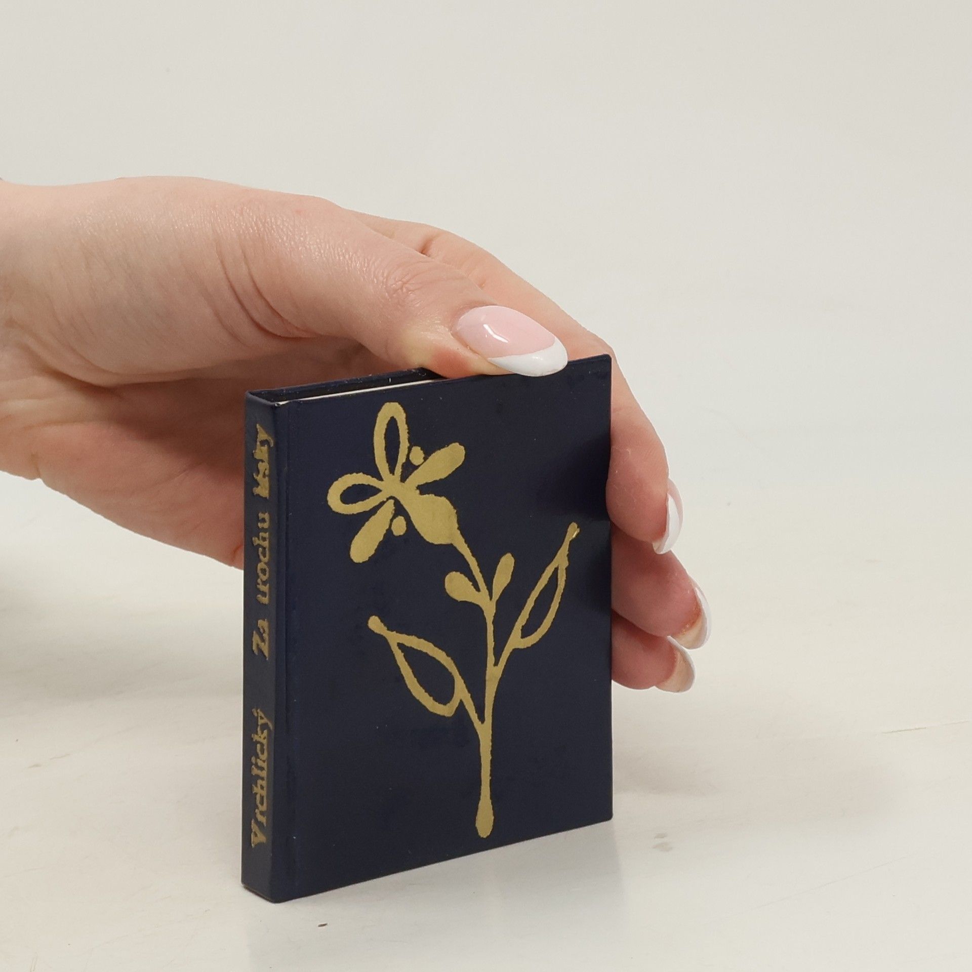 Karel Svolinský Za trochu lásky