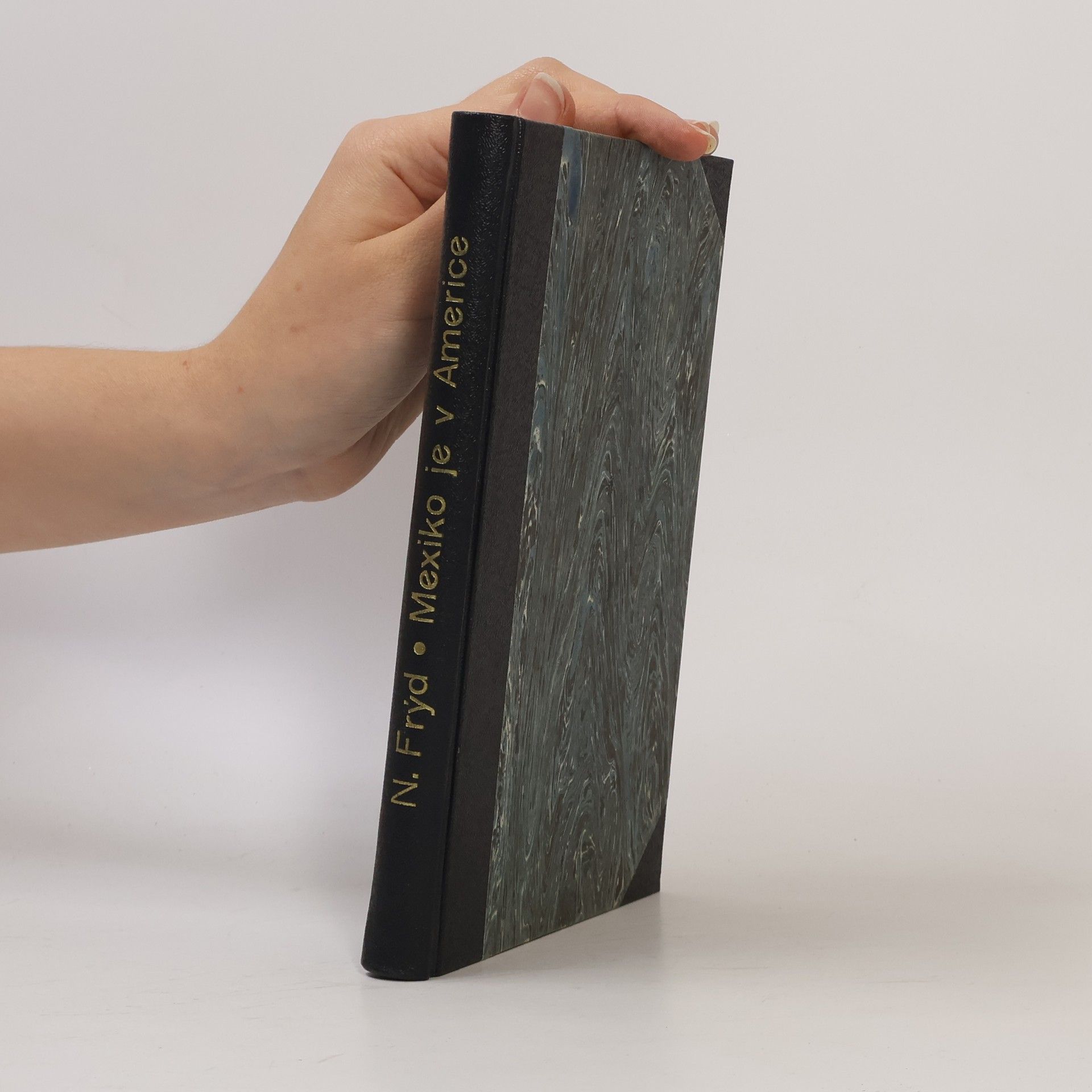 Norbert Frýd Mexiko je v Americe