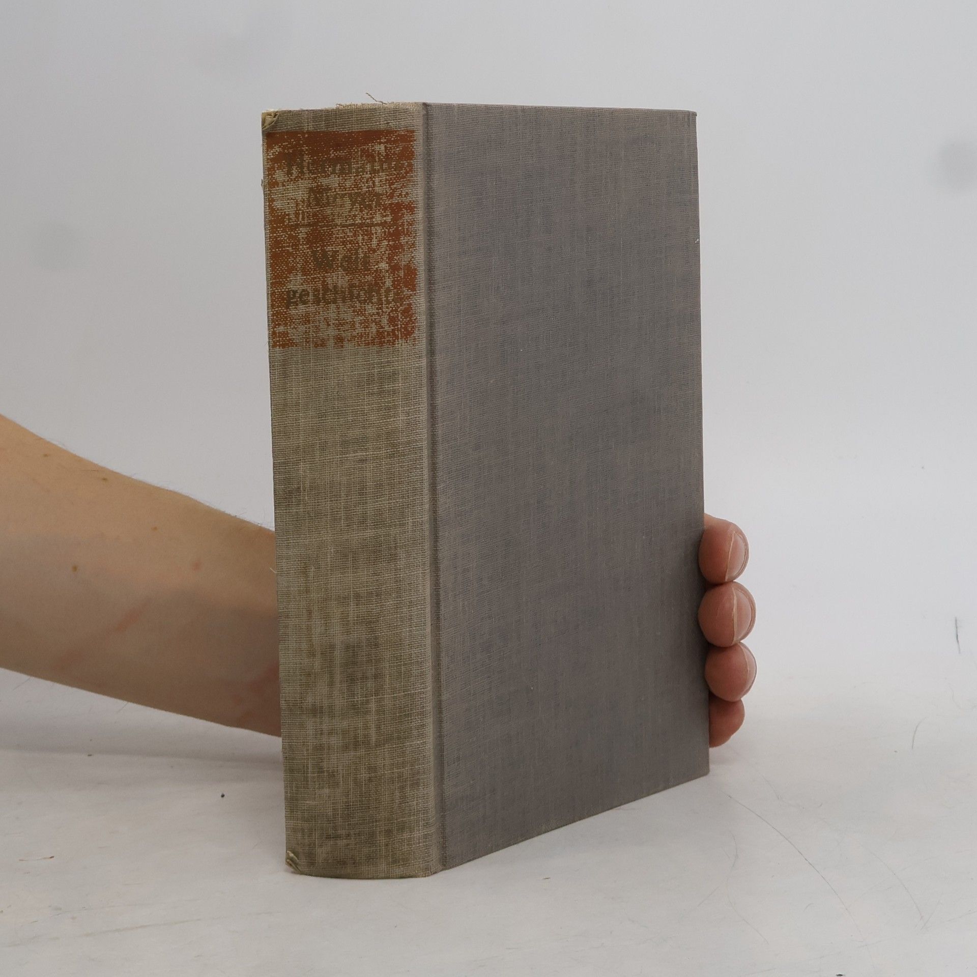 Herman Meyer Weltgeschichte