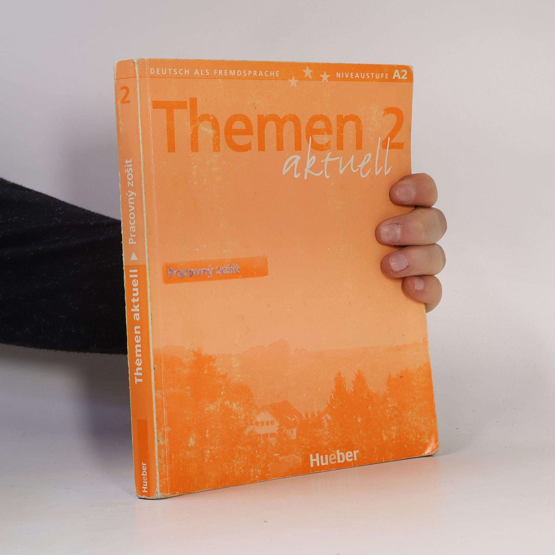 Themen aktuell 2 : pracovní sešit