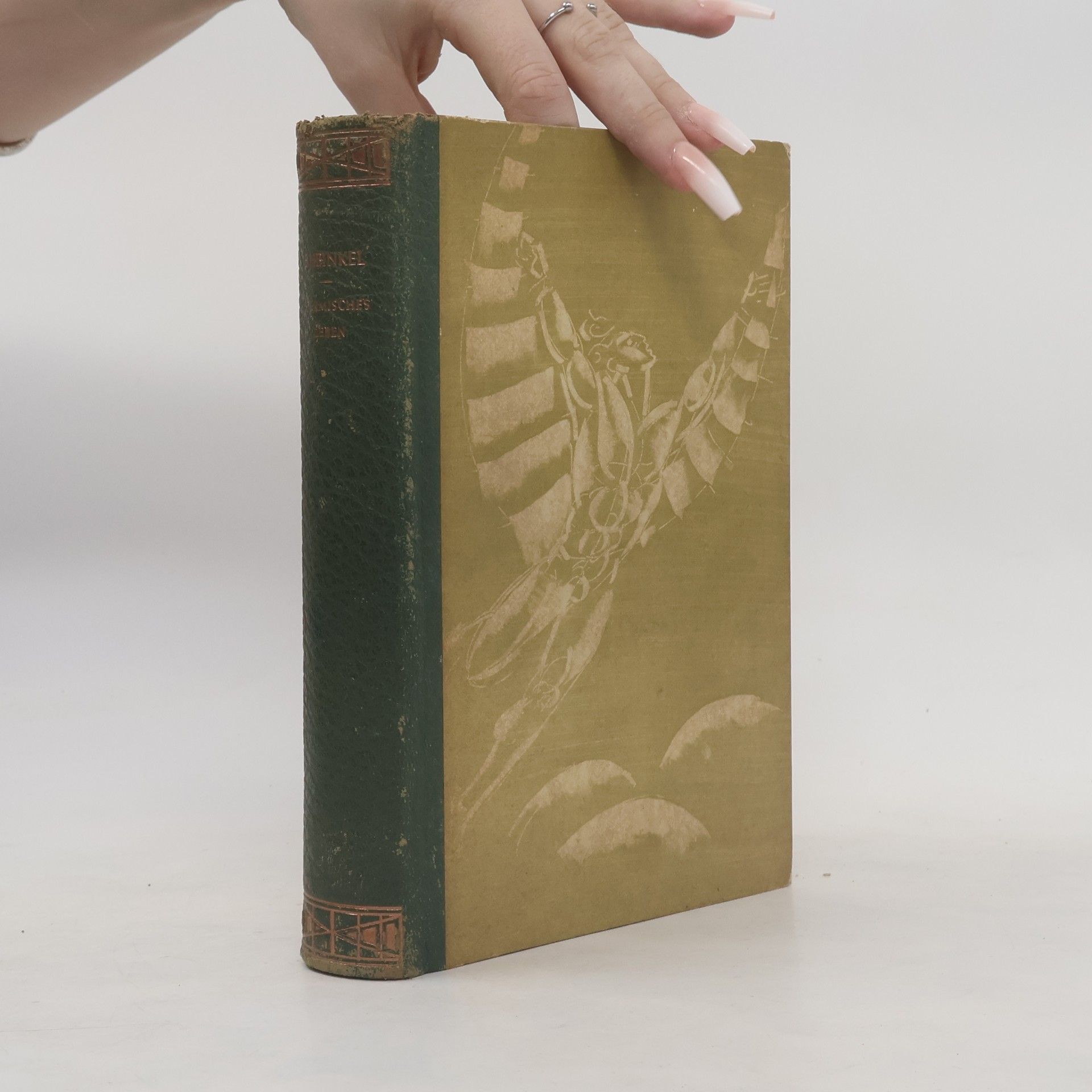 Ernst Heinkel Stürmisches Leben