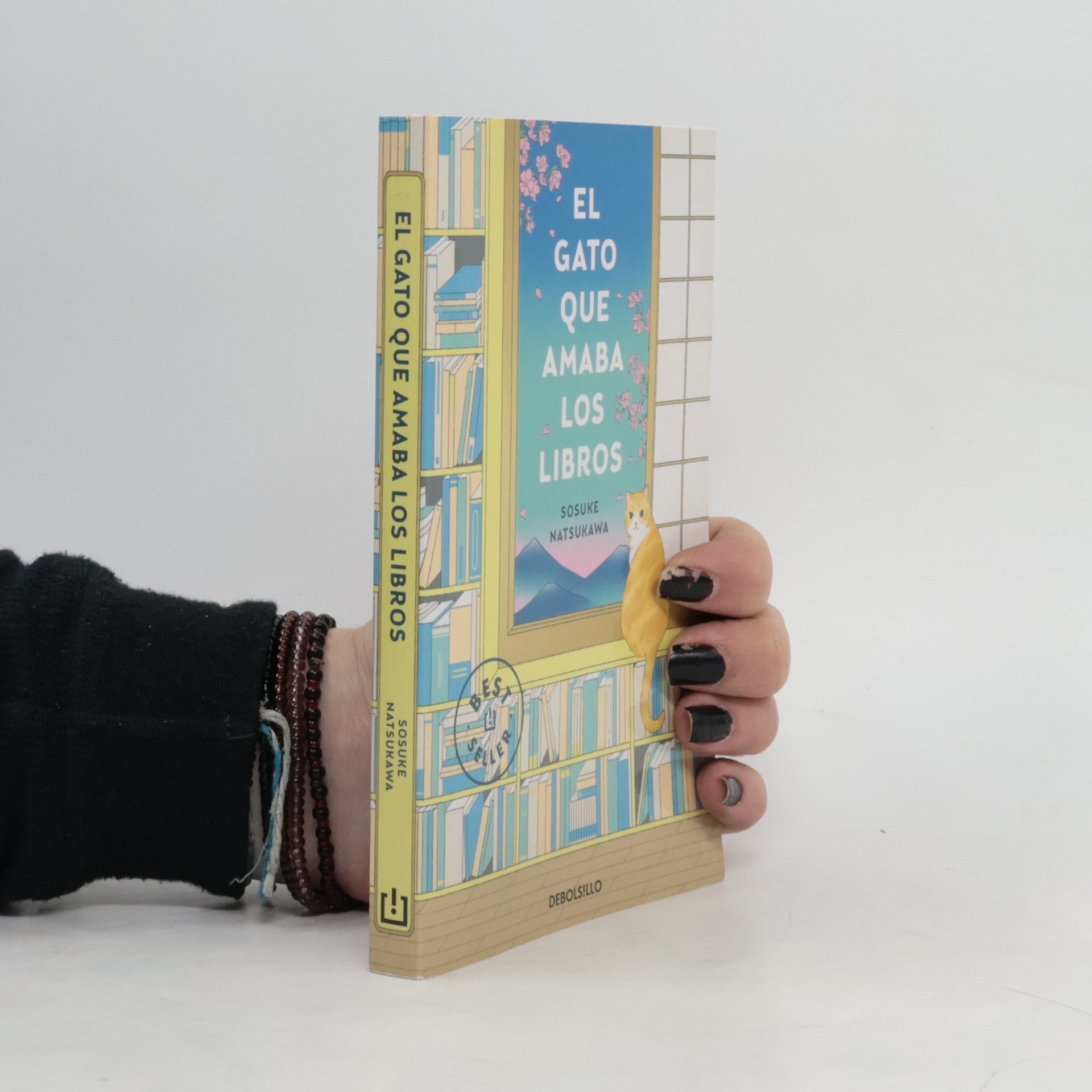 El gato que amaba los libros