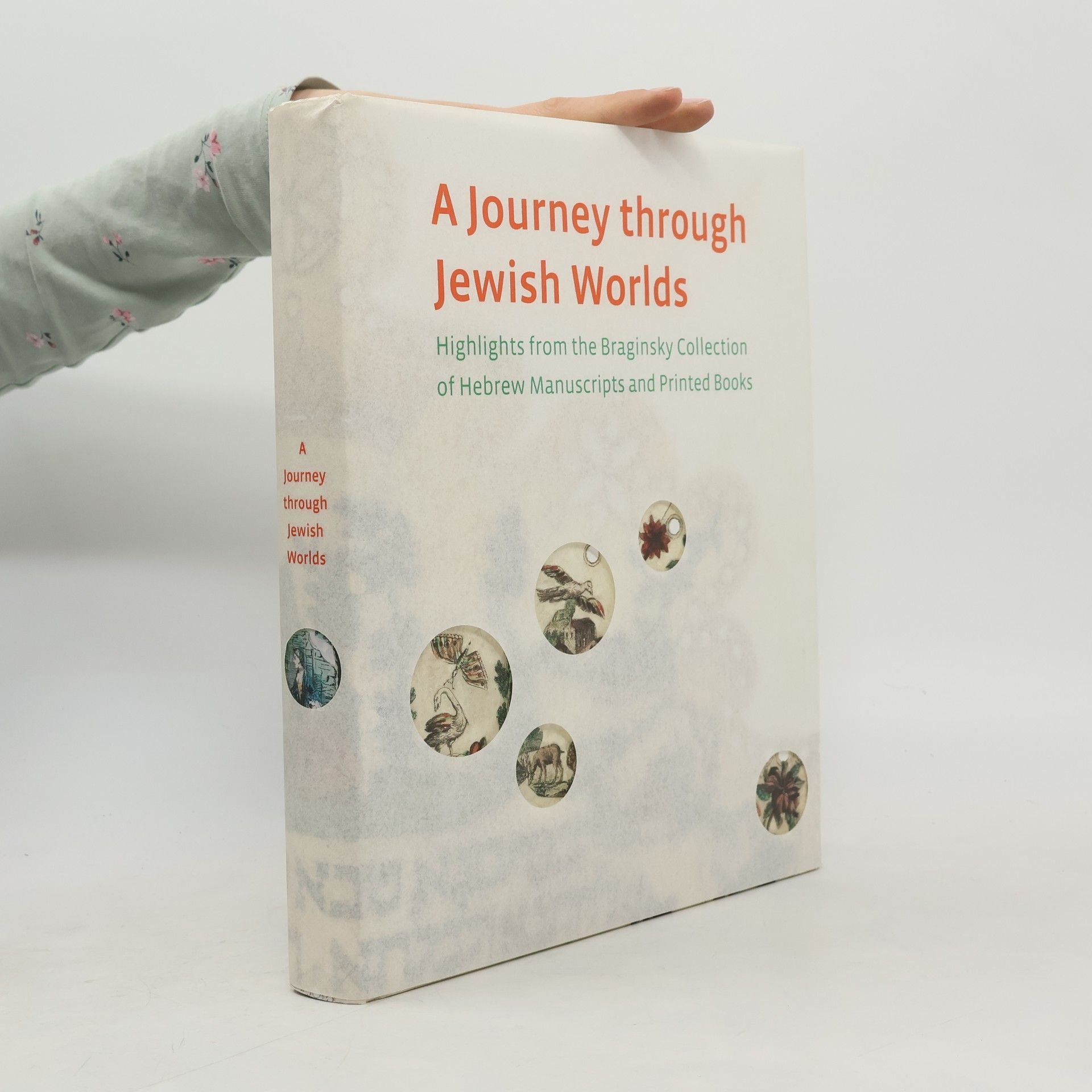 Elka Deitsch The Braginsky Collection: A Journey Through Jewish Worlds