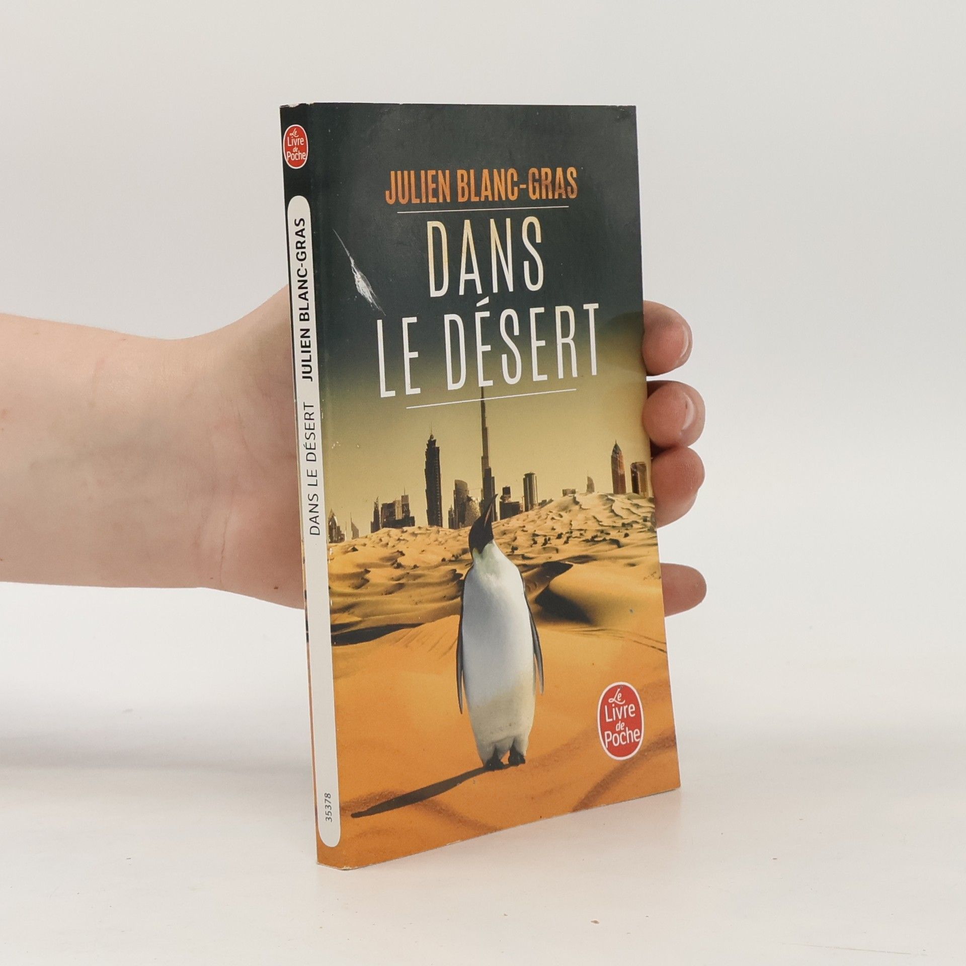 Dans le desert