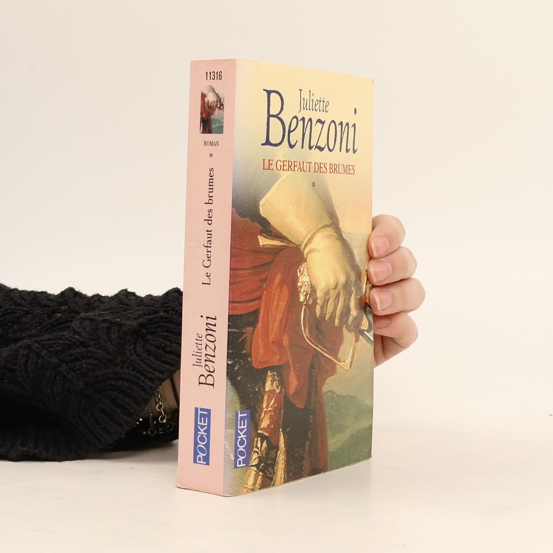 Juliette Benzoni Le Gerfaut des brumes