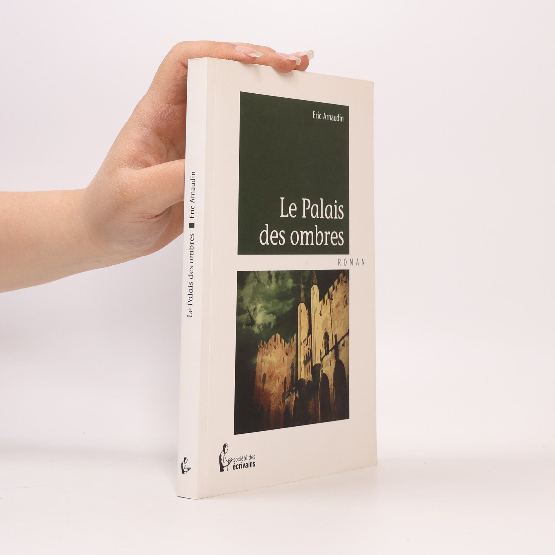 Eric Arnaudin Le palais des ombres