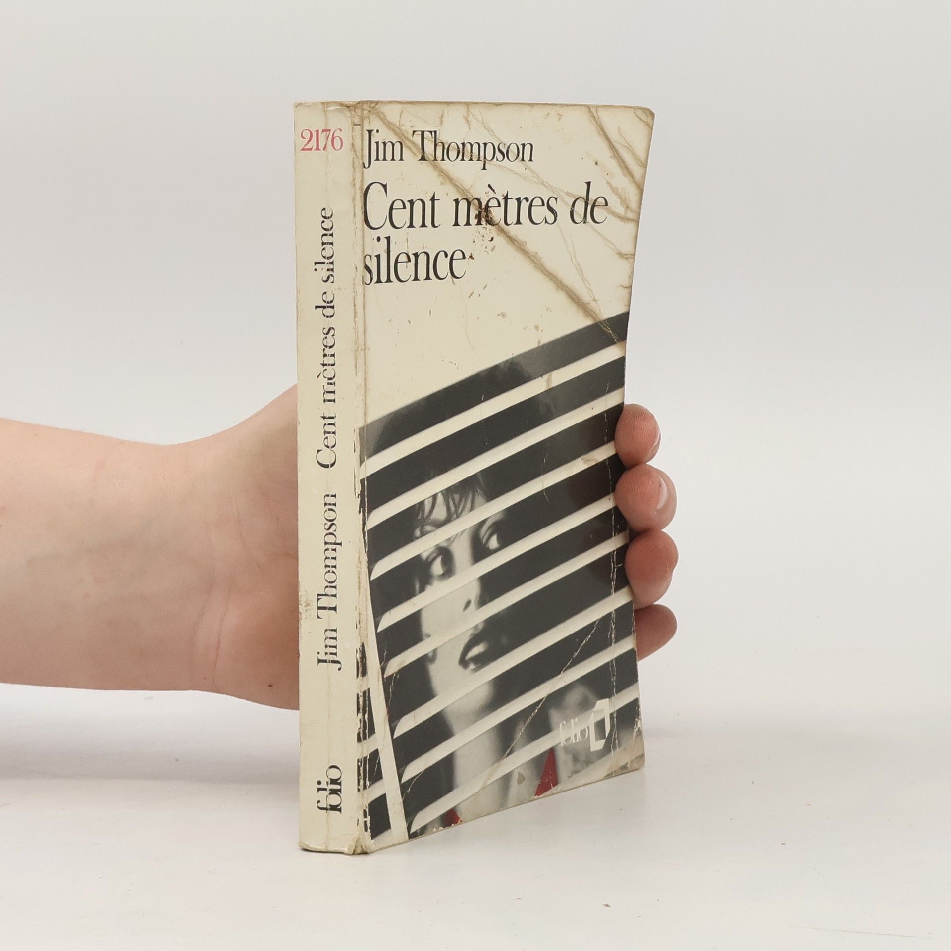 Suzanne Flour Cent mètres de silence