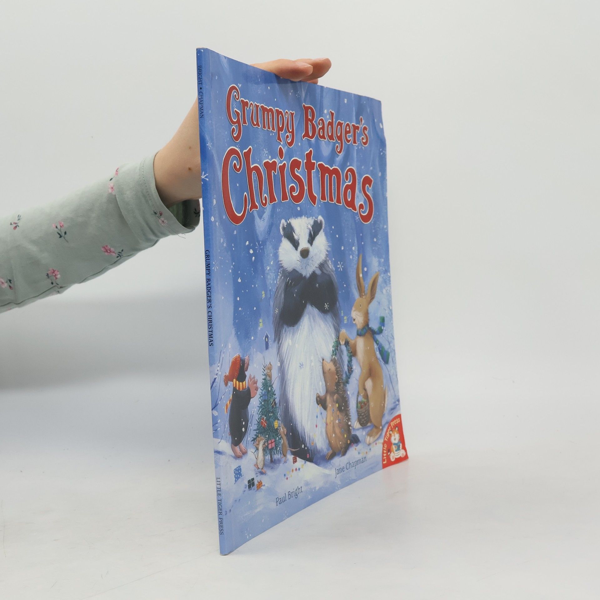 Grumpy Badger's Christmas