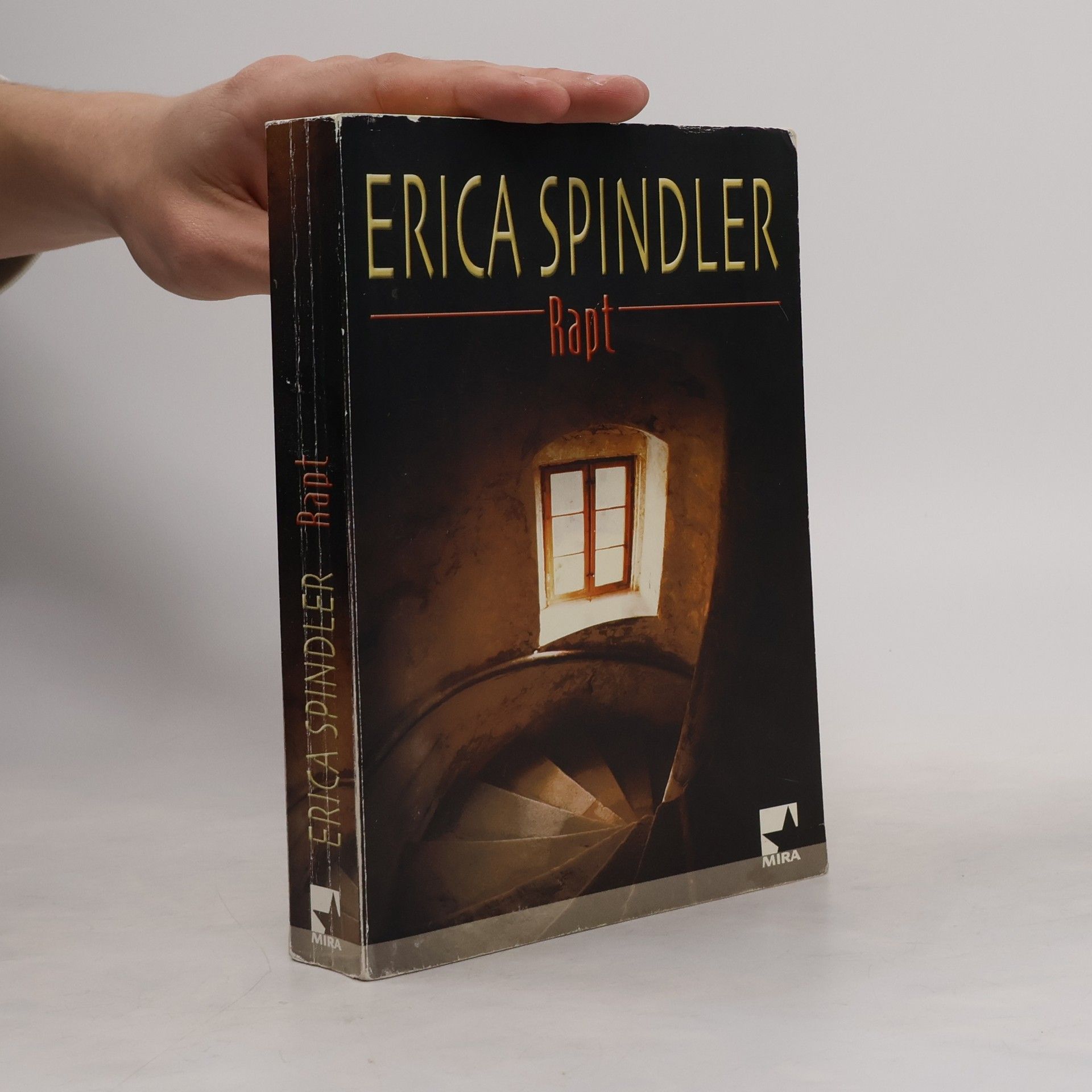 Erica Spindler Rapt