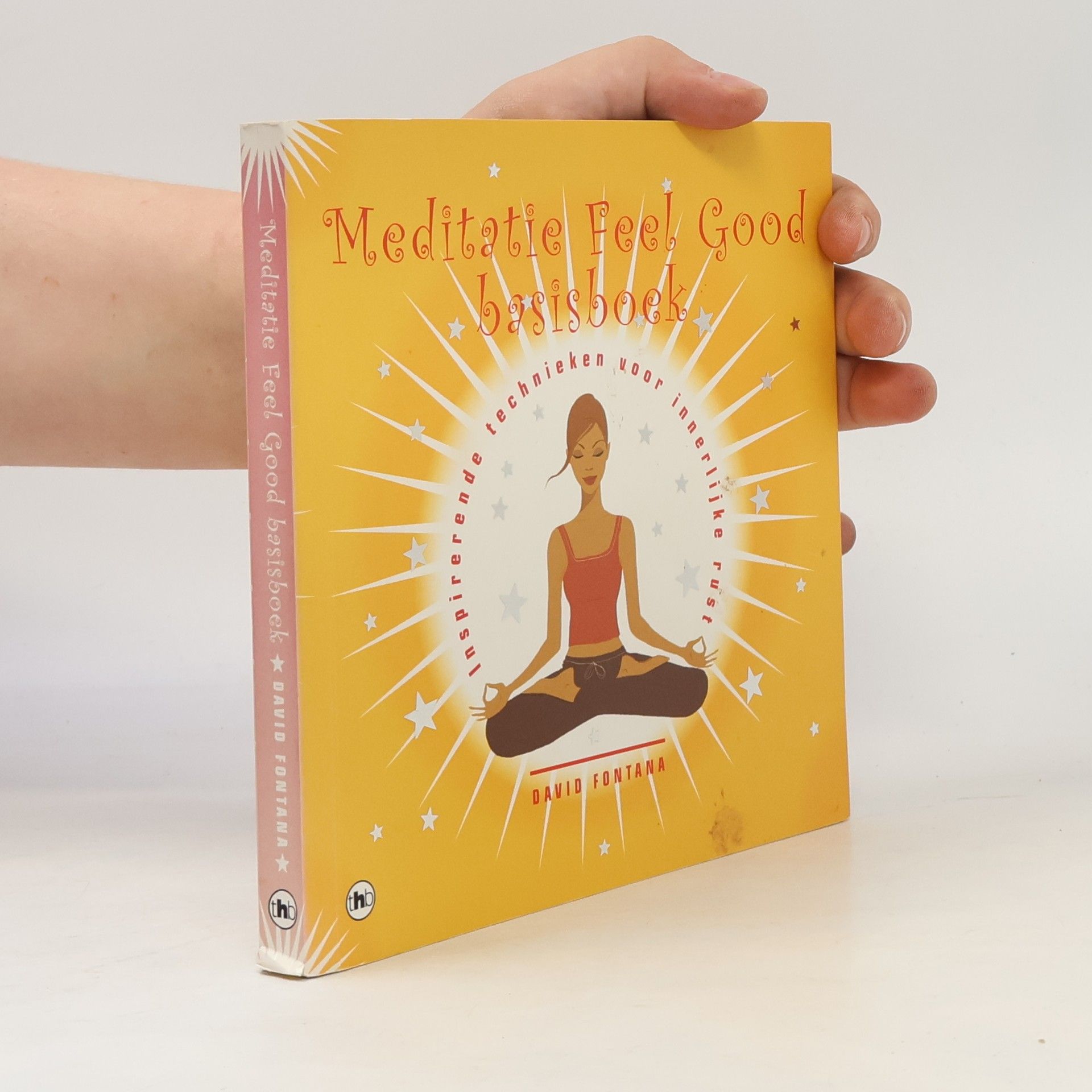 David Fontana Meditatie feel good basisboek