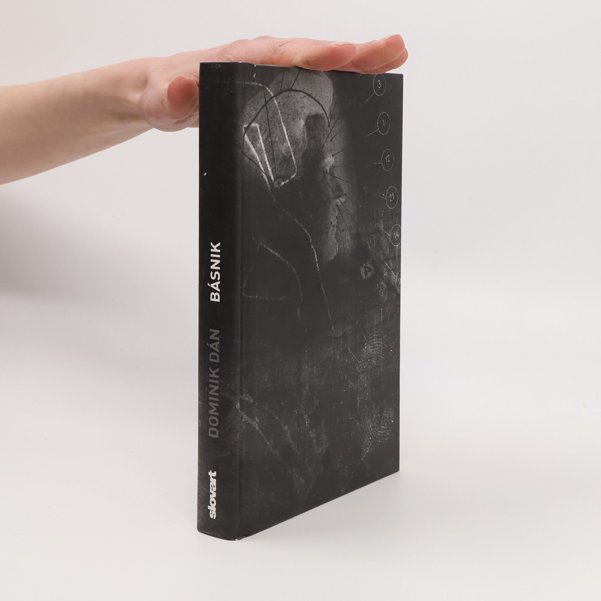 Dominik Dán Básnik