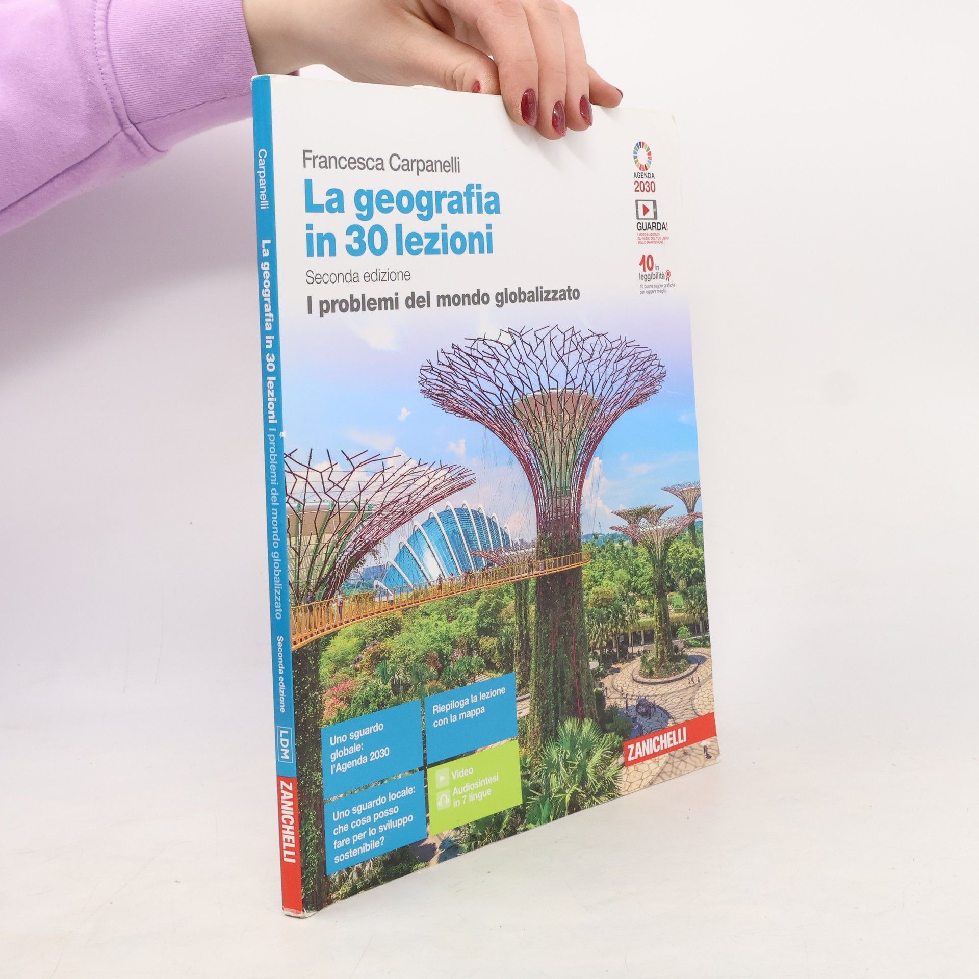 Carpanelli Francesca La geografia in 30 lezioni. I problemi del mondo globalizzato