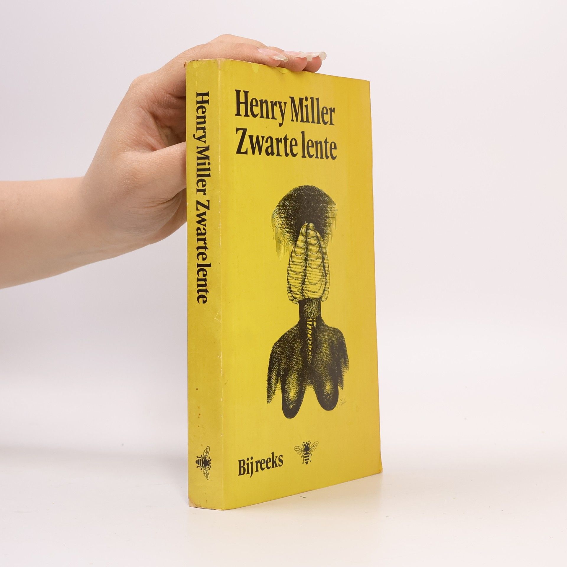 Jan Hendrik Willem Schlamilch Zwarte lente