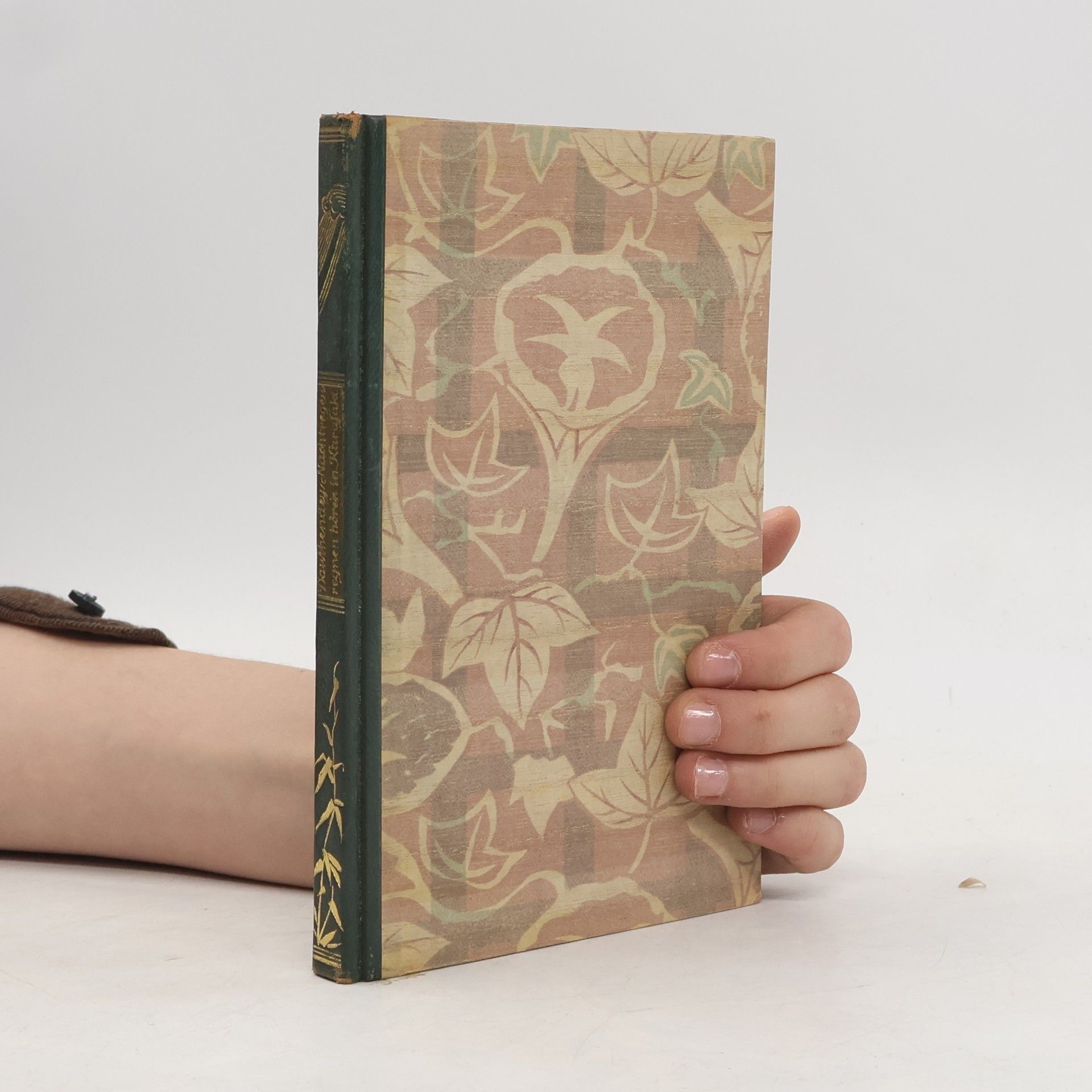 Den Nachtregen regnen hören in Karasaki und andere Geschichten