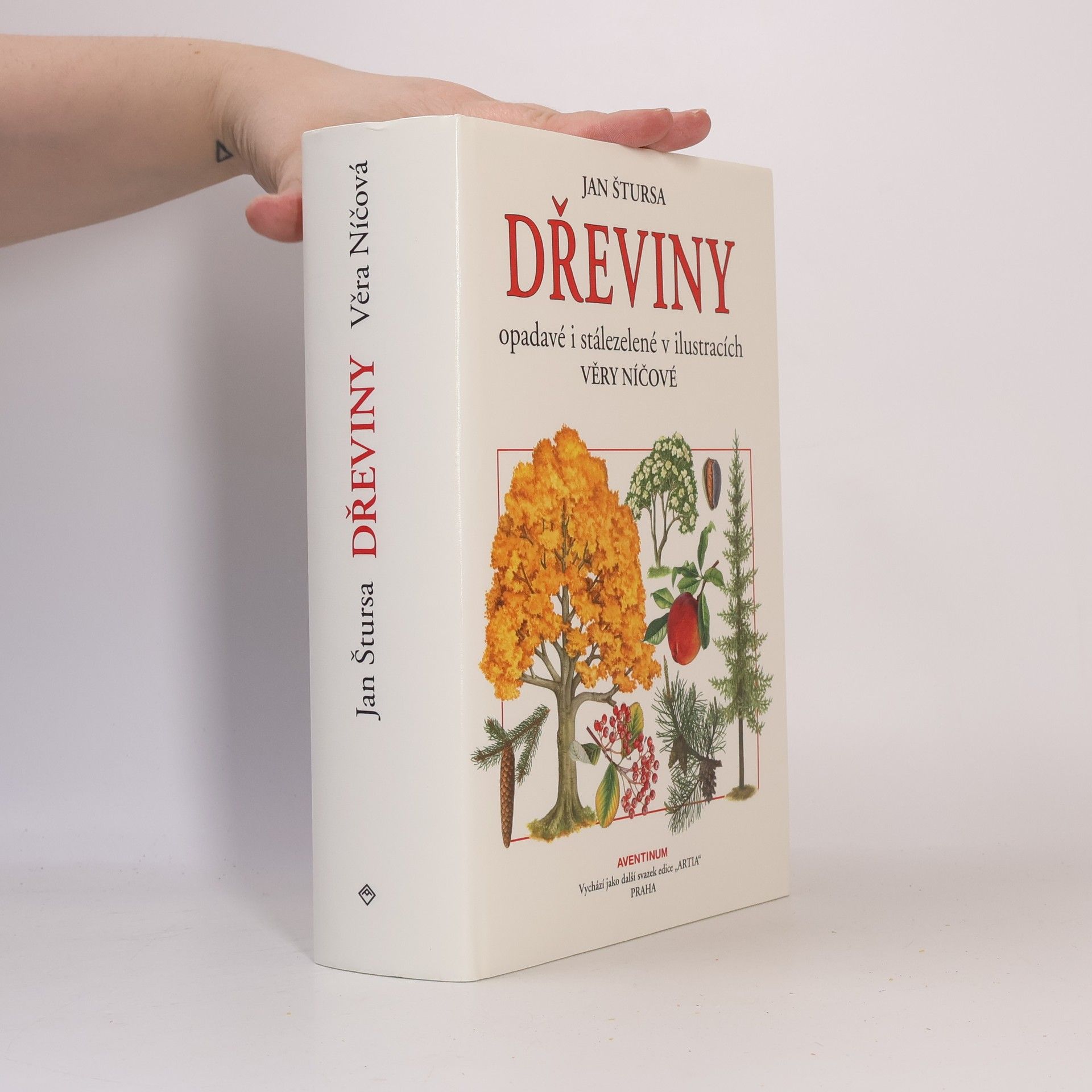 Dřeviny opadavé i stálezelené