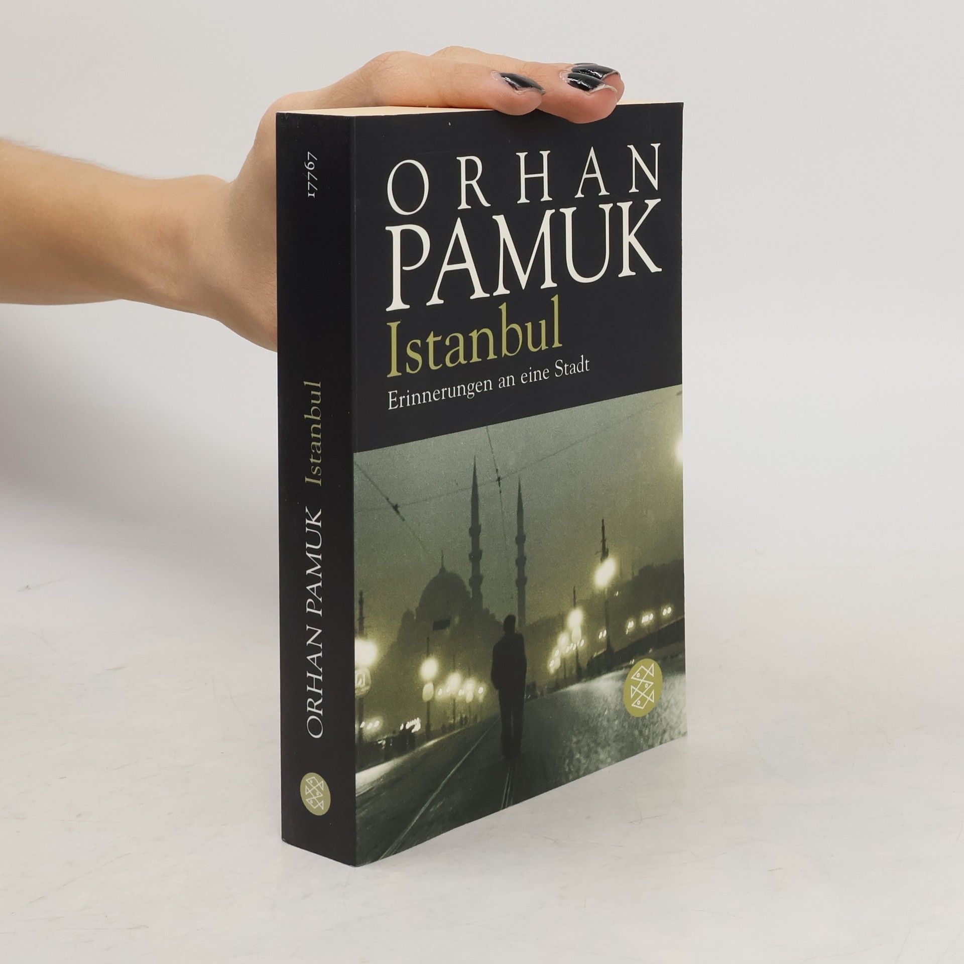 Orhan Pamuk Istanbul - Erinnerungen an eine Stadt