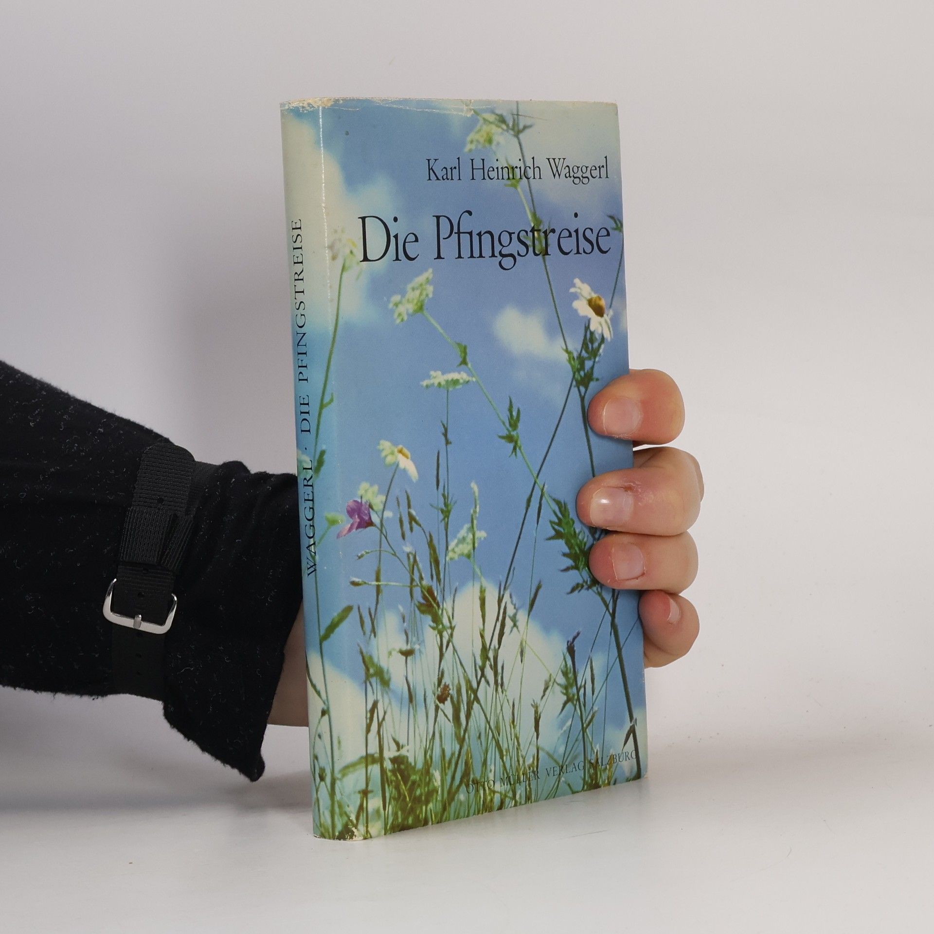 K. H. Waggerl Die Pfingstreise