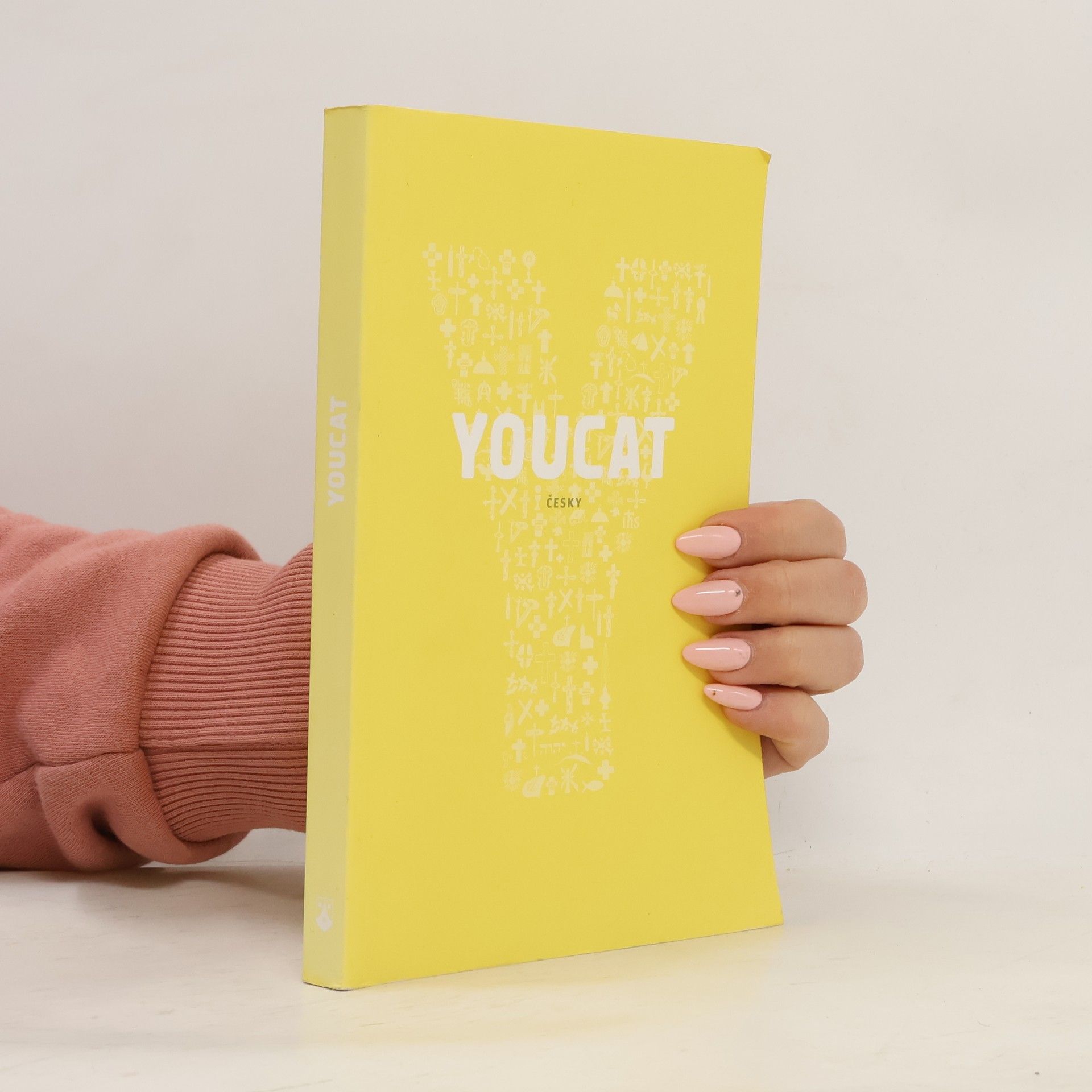 Collectif d'auteurs Youcat: katechismus katolické církve pro mladé