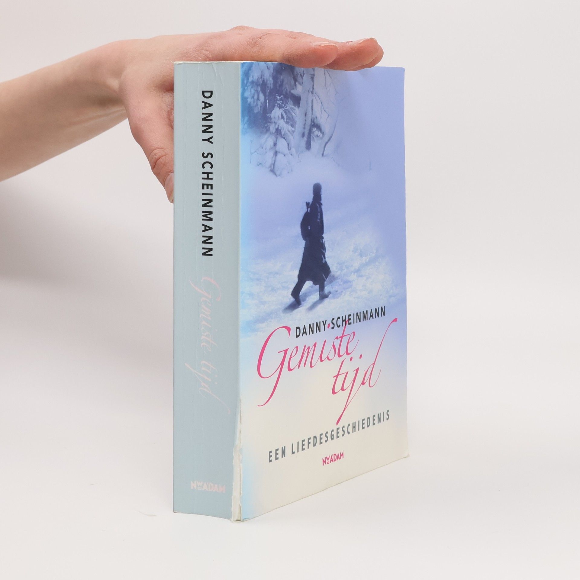 Danny Scheinmann Gemiste tijd