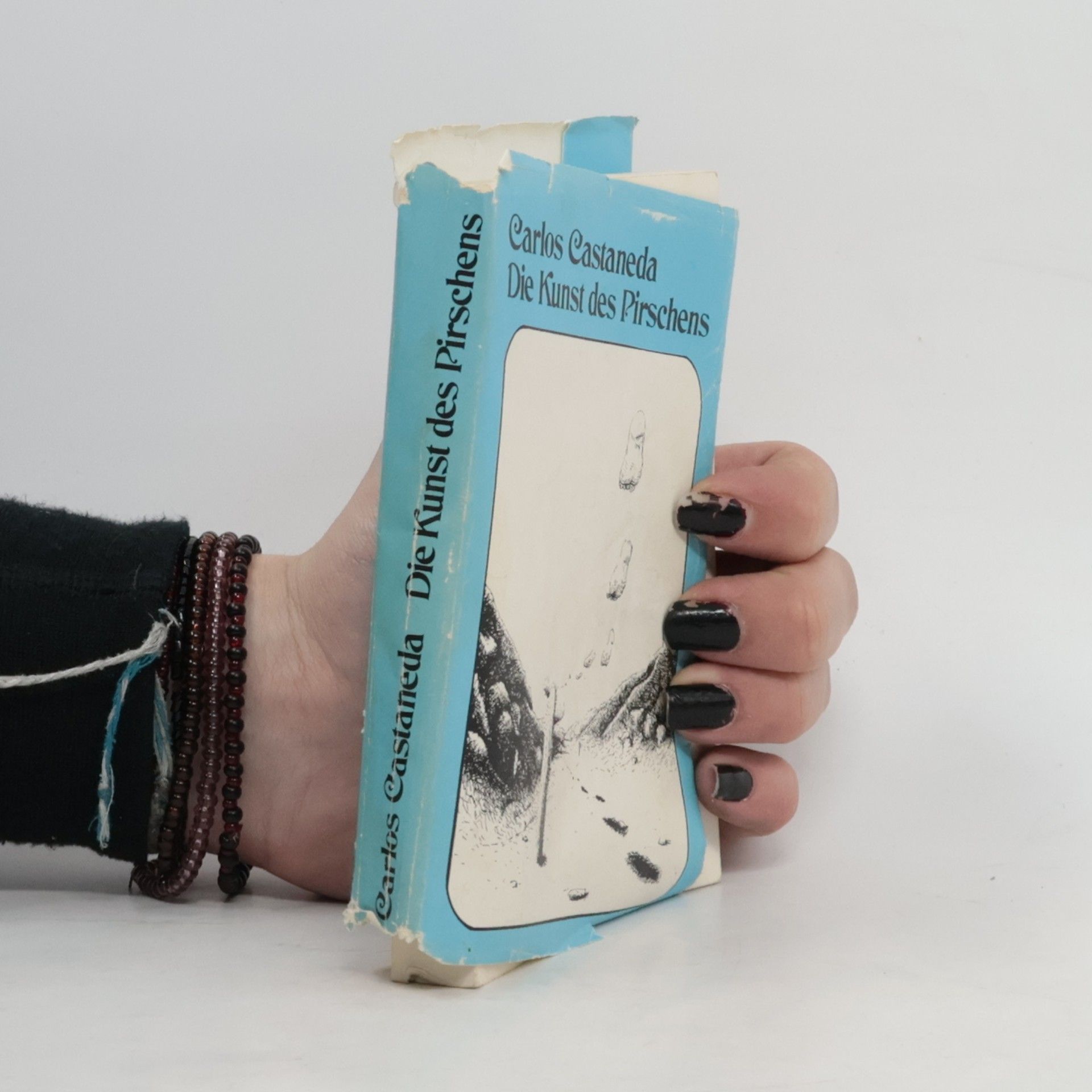Carlos Castaneda Die Kunst des Pirschens