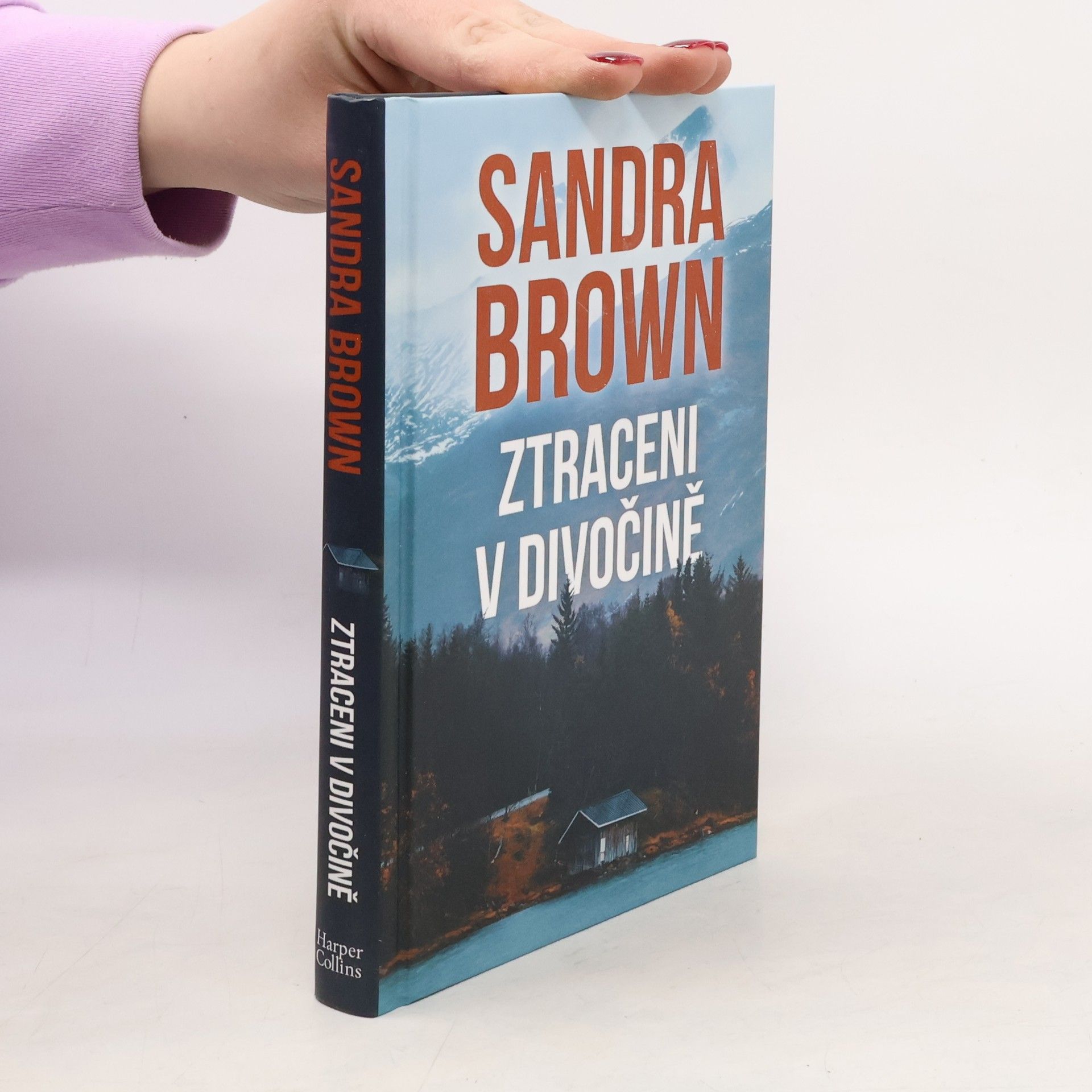 Sandra Brown Ztraceni v divočině