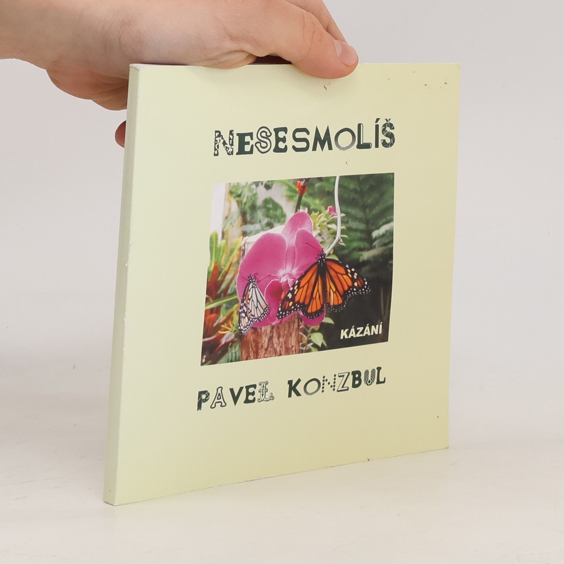 Pavel Konzbul Nesesmolíš