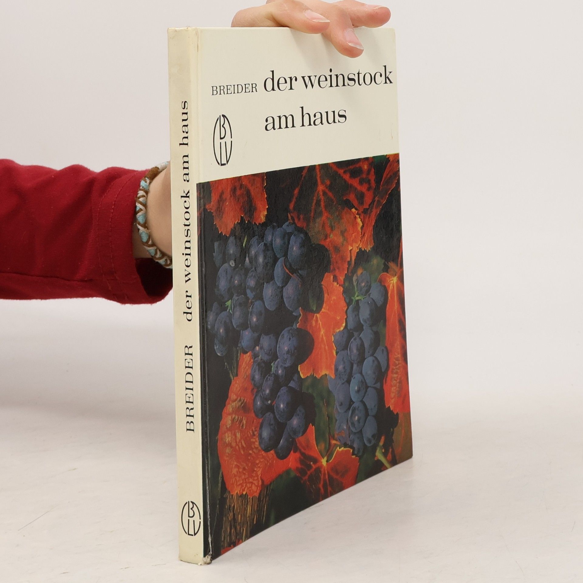 Hans Breider Der Weinstock am Haus