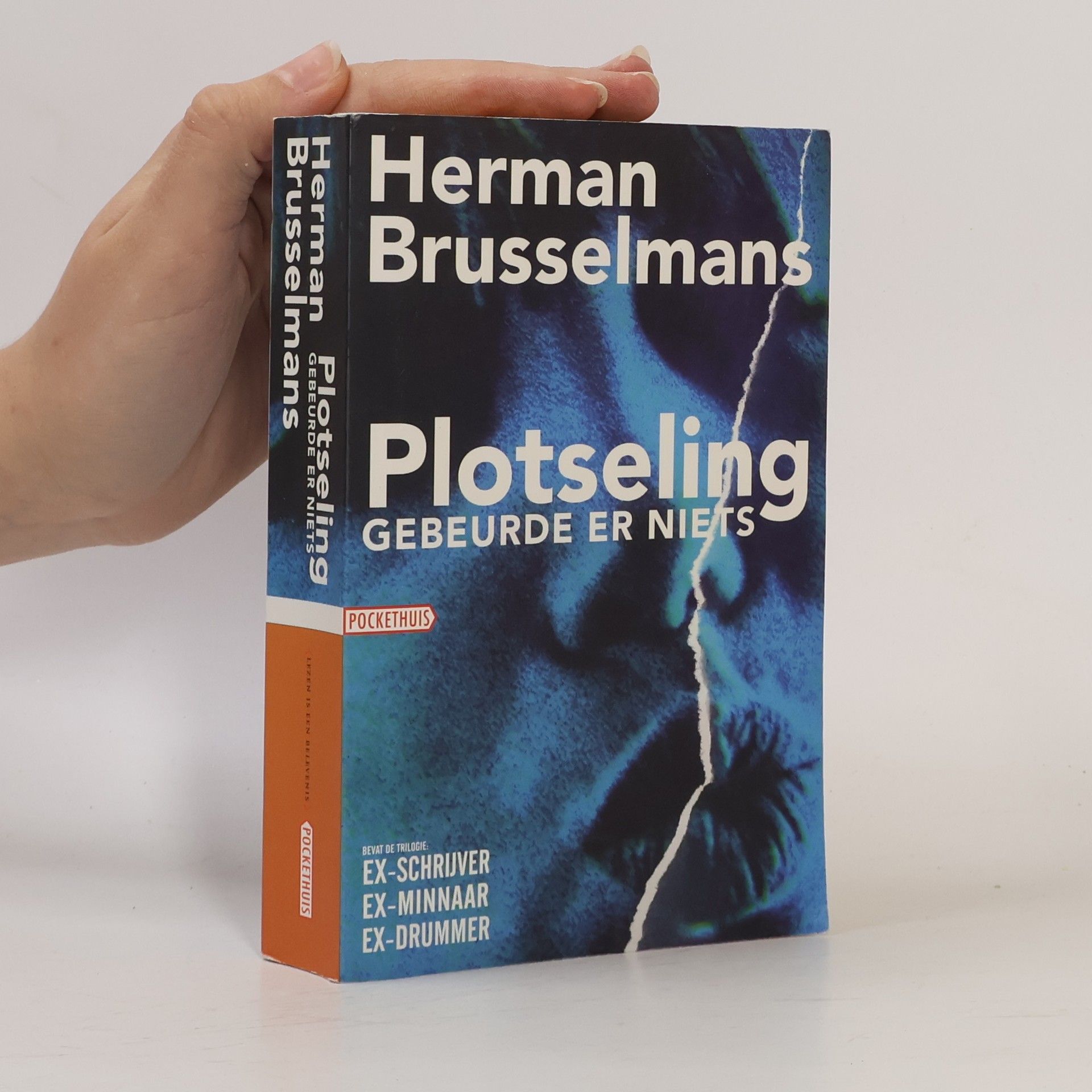 Herman Frans Martha Brusselmans Plotseling gebeurde er niets