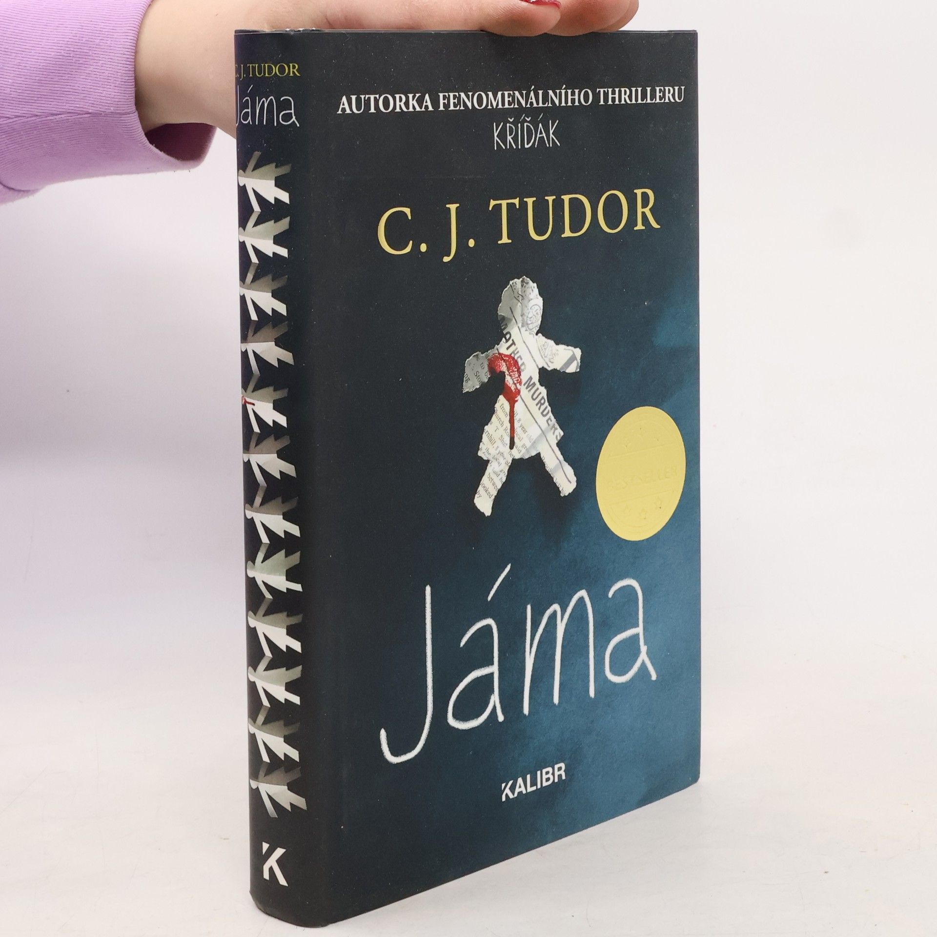C.J. Tudor Jáma