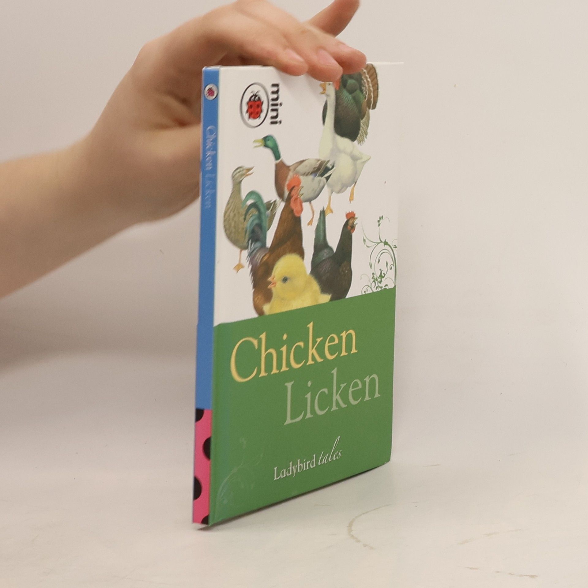 Vera Southgate Ladybird Tales: Chicken Licken