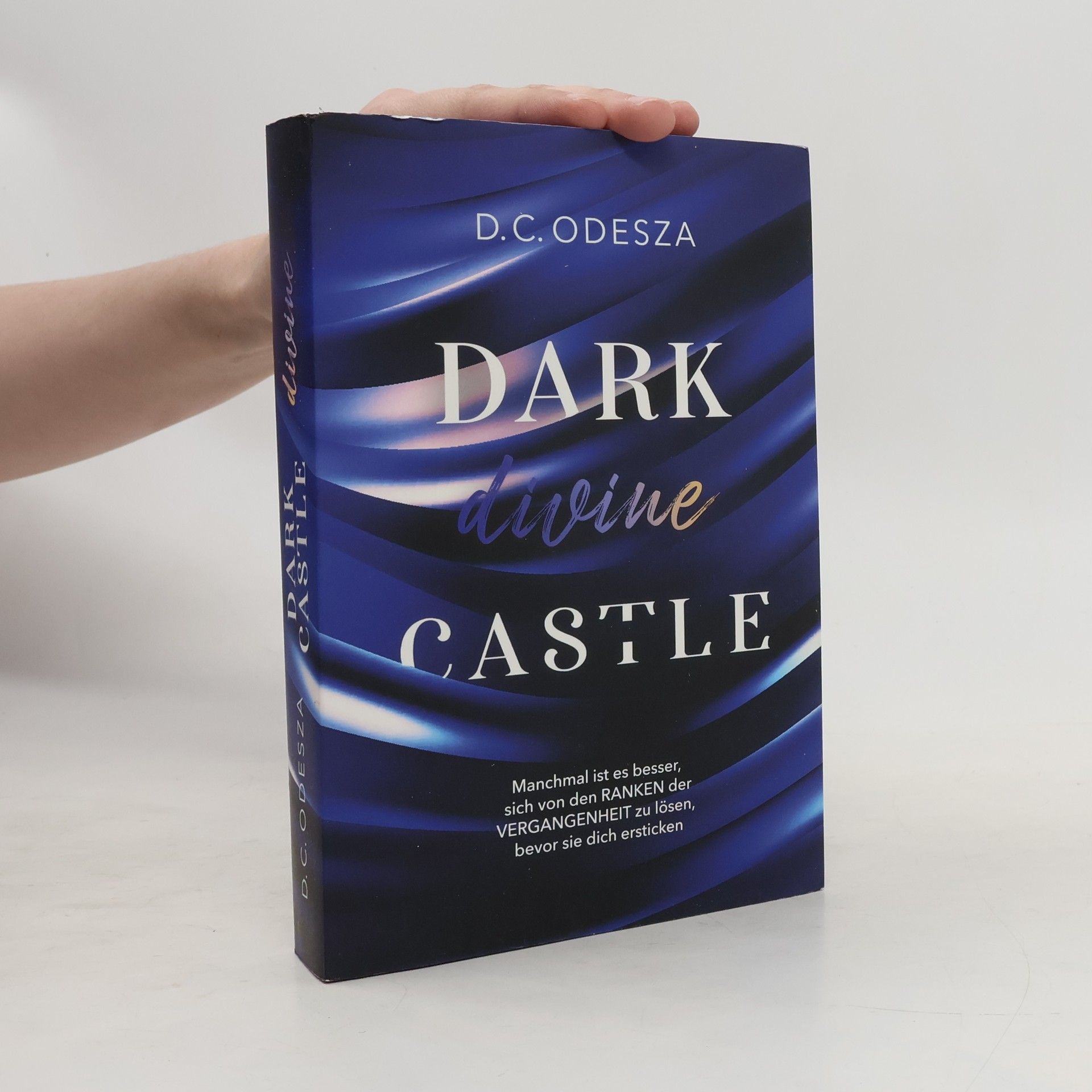 D. C. Odesza Dark Divine Castle