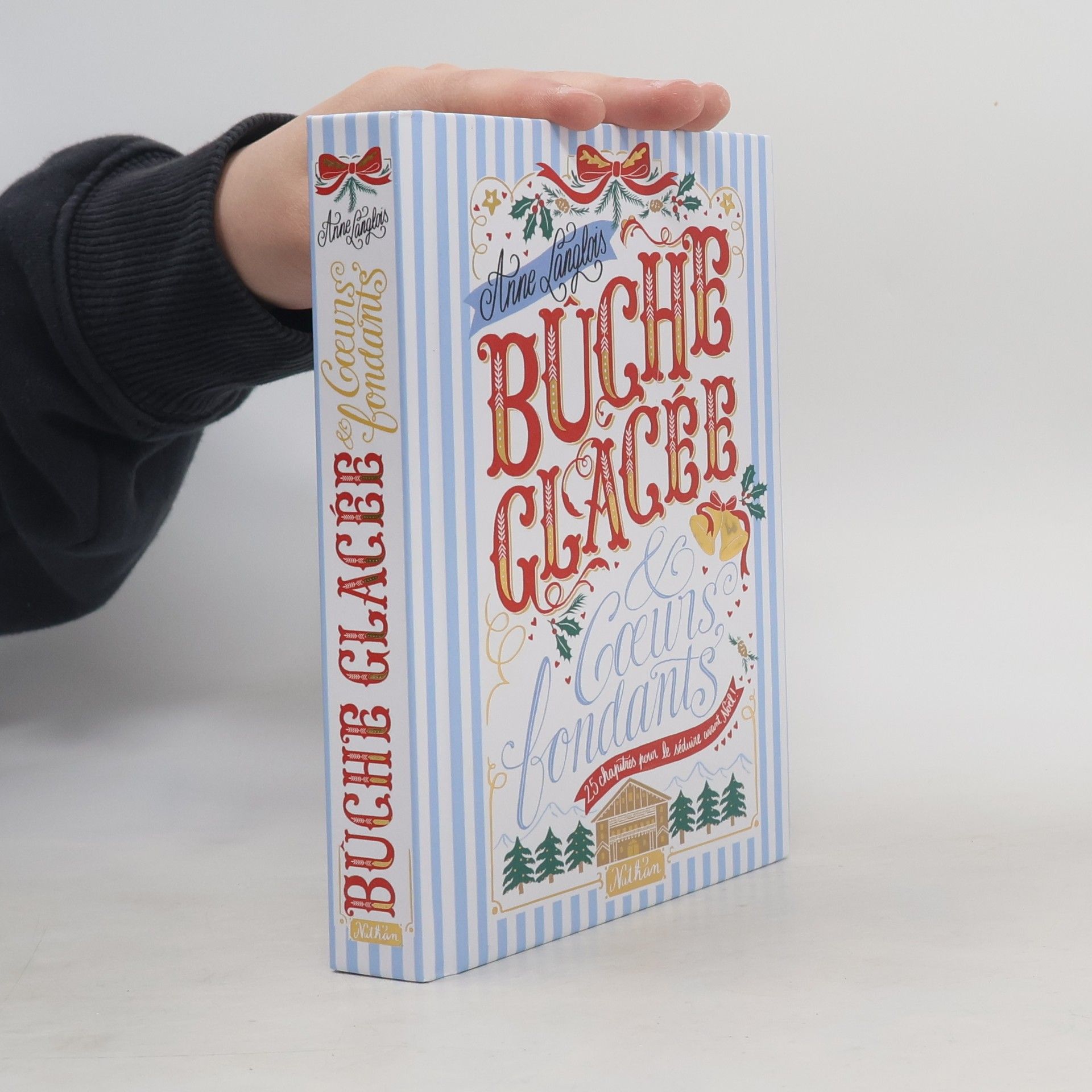 Anne Langlois Bûche glacée & cœurs fondants