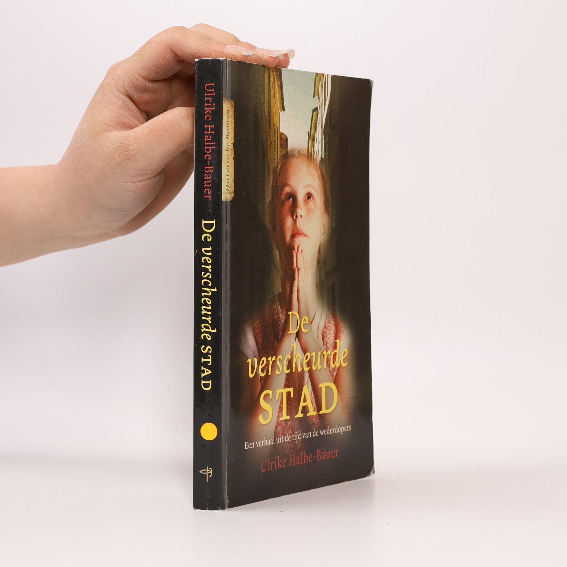 Geraldine Damstra De verscheurde stad