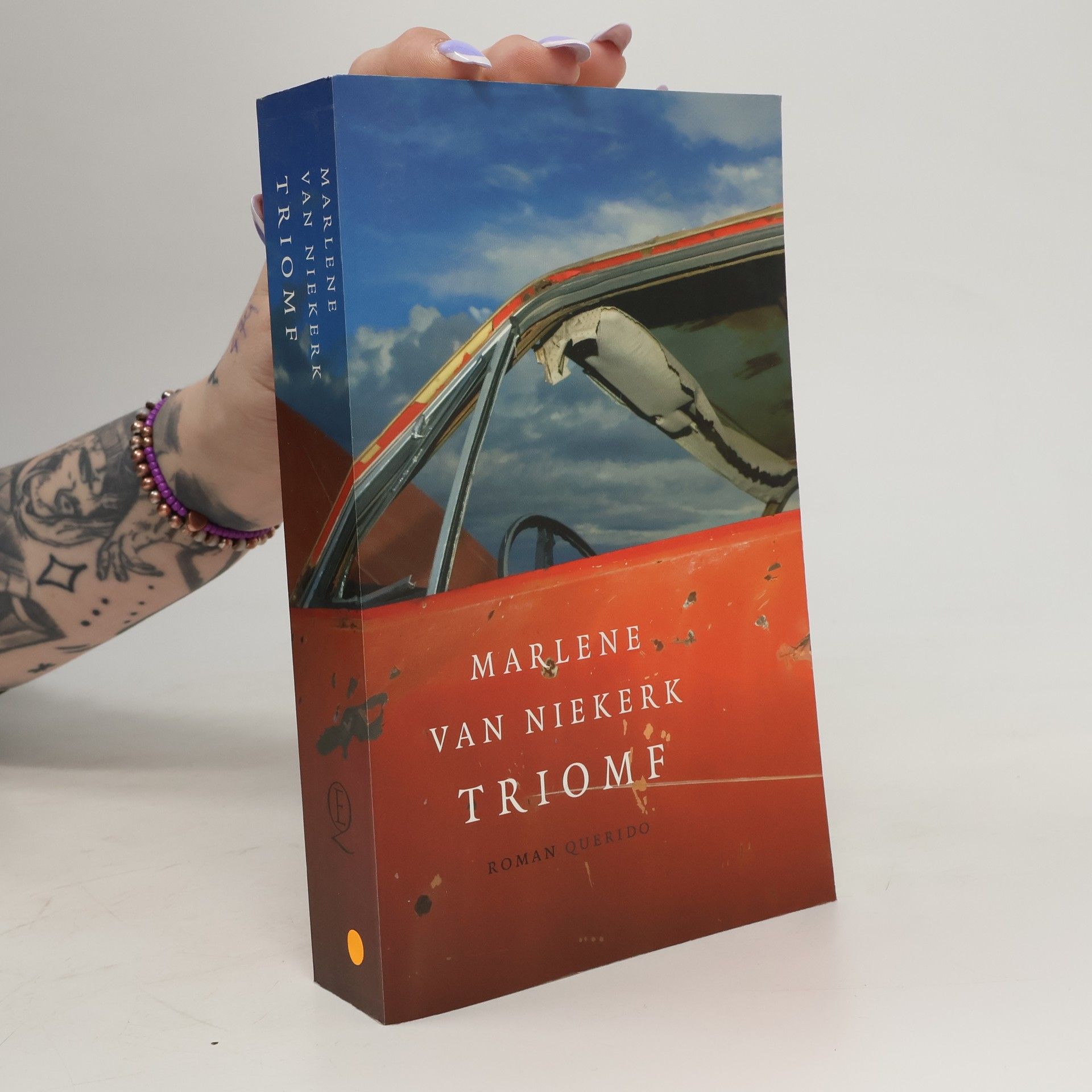 Robert Dorsman Triomf